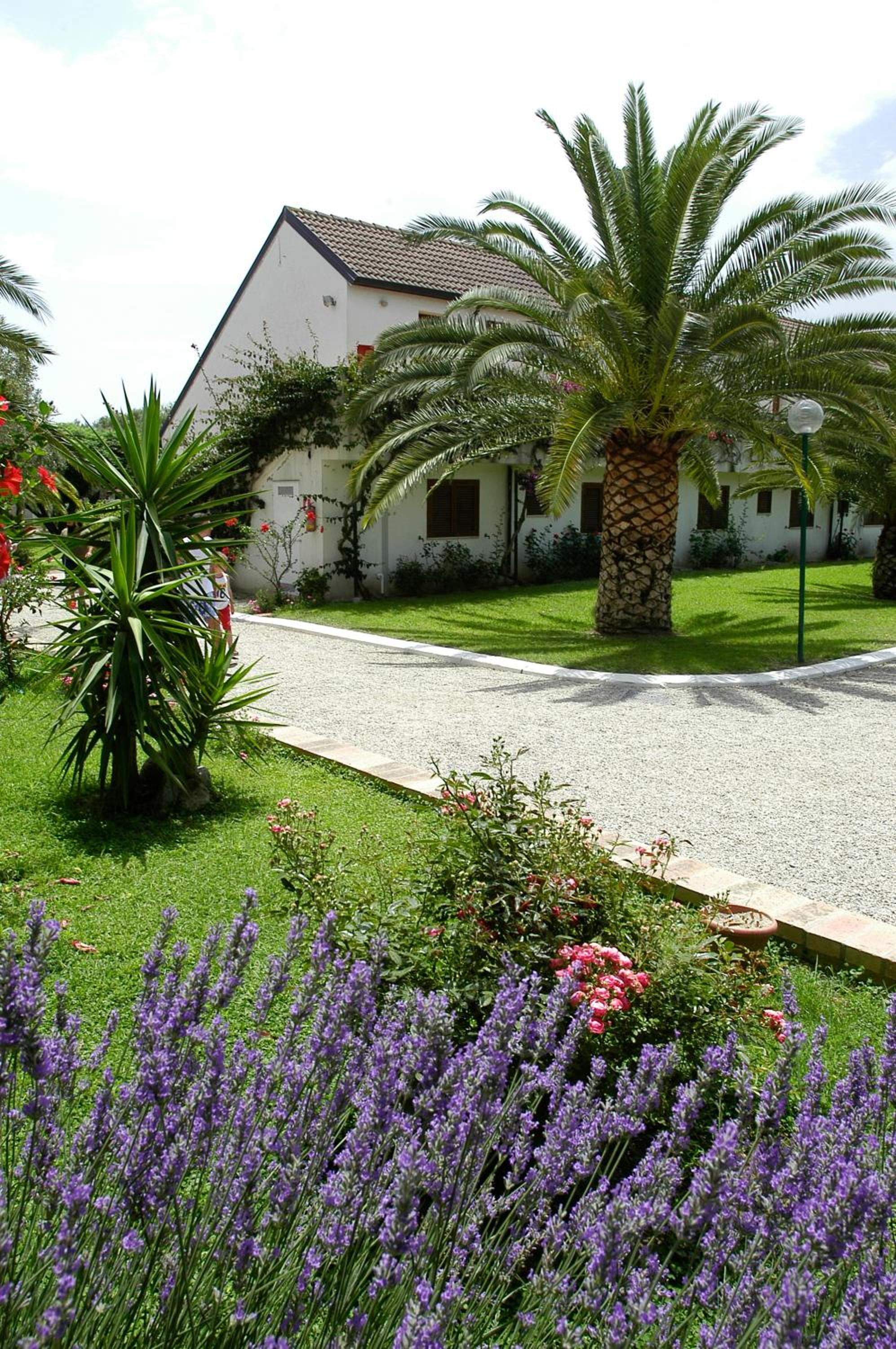 Nausicaa Village