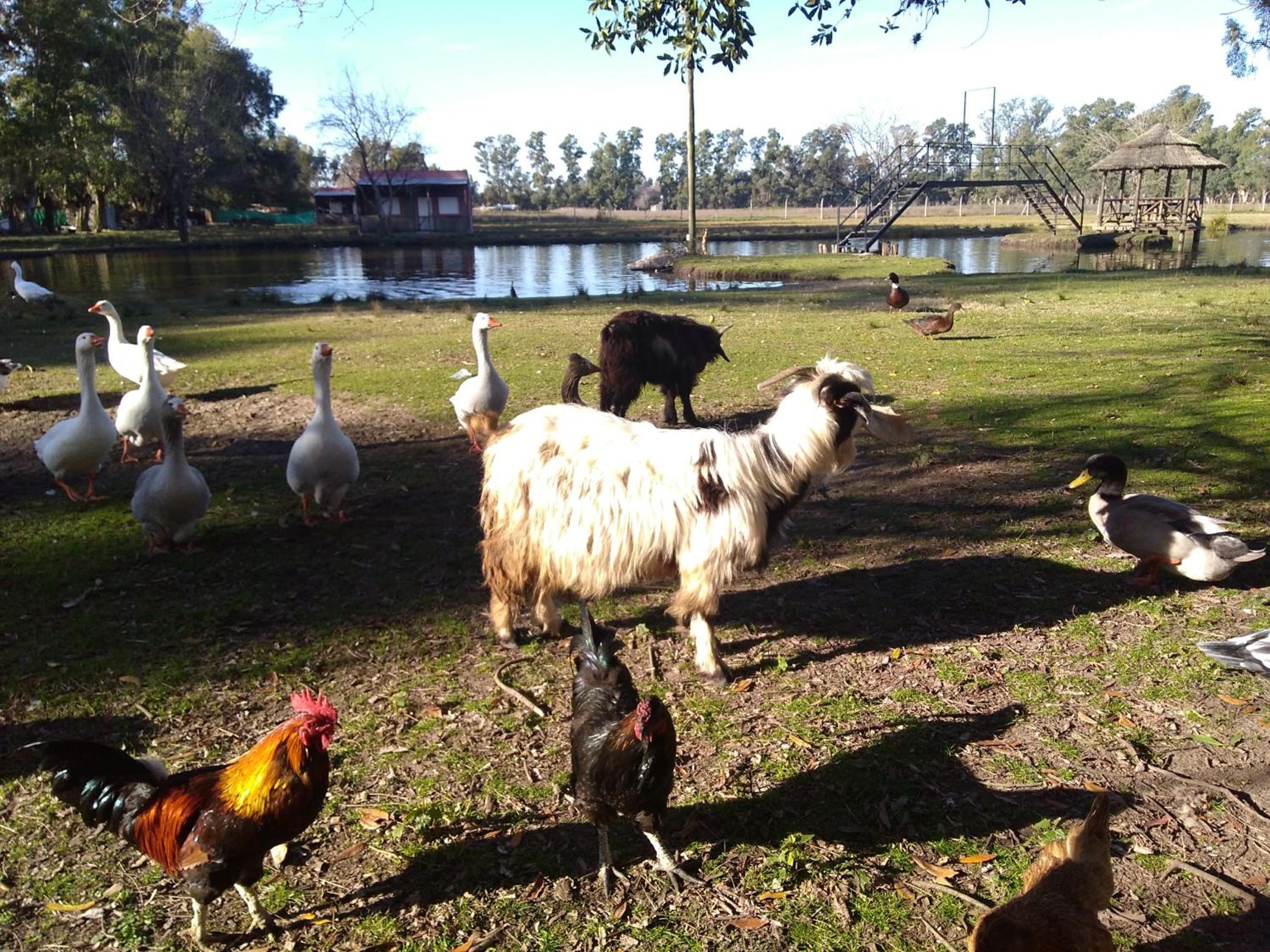 La Justina - Nuestro Campo