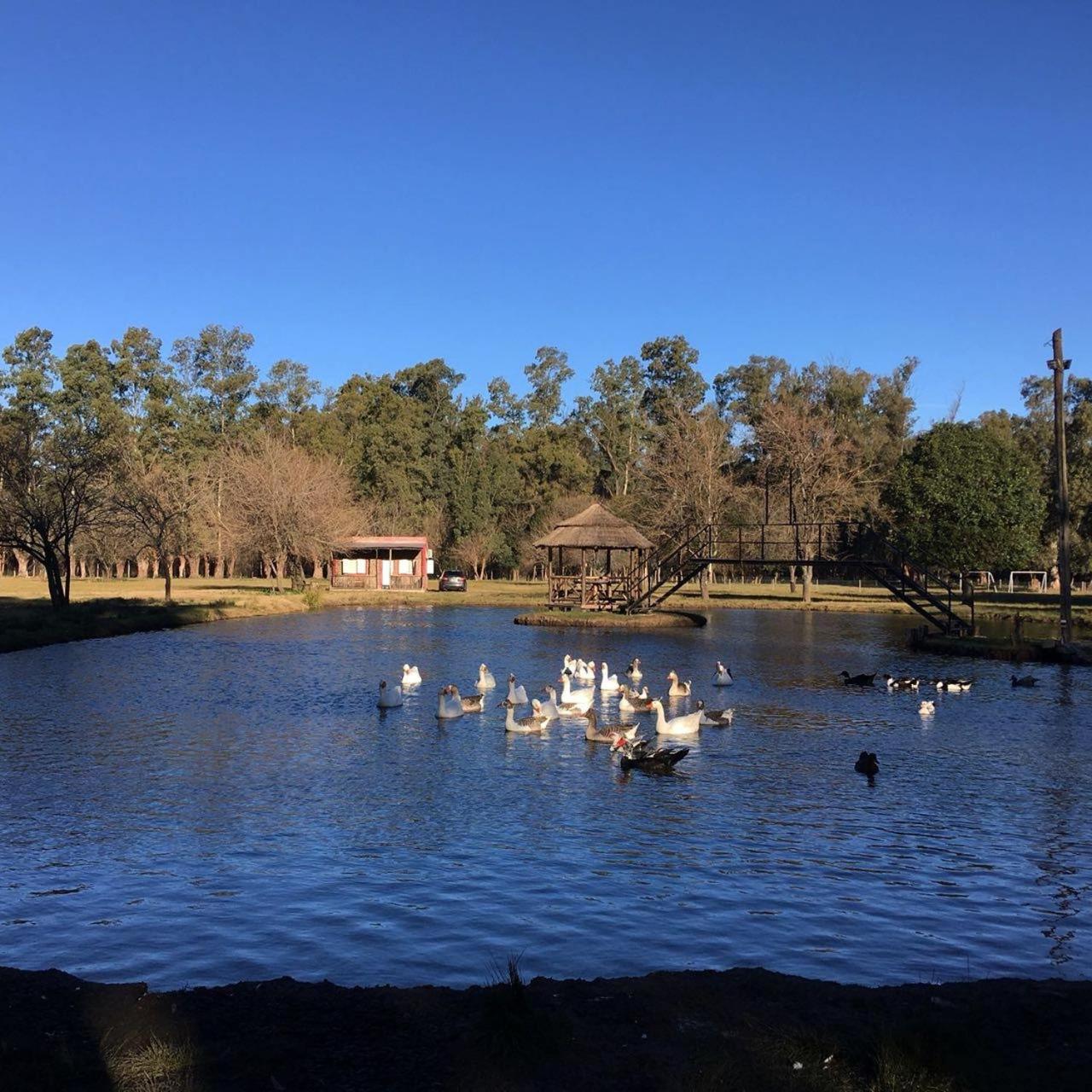 La Justina - Nuestro Campo