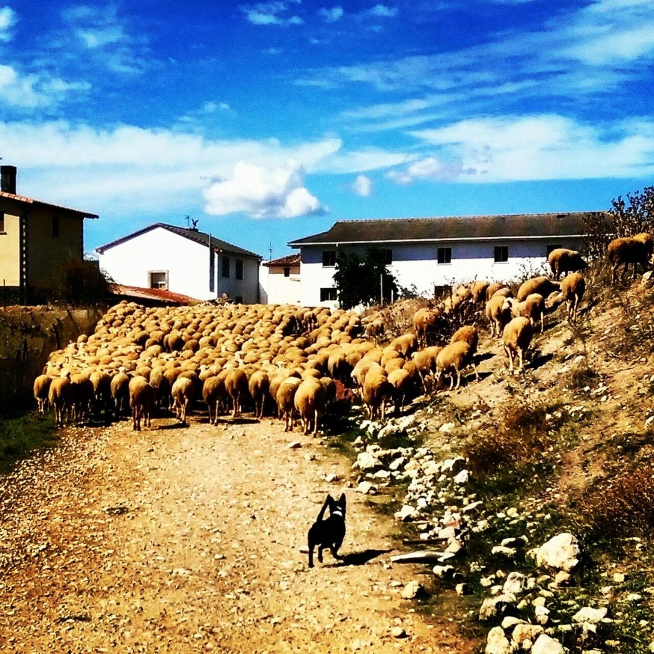 Photo 45