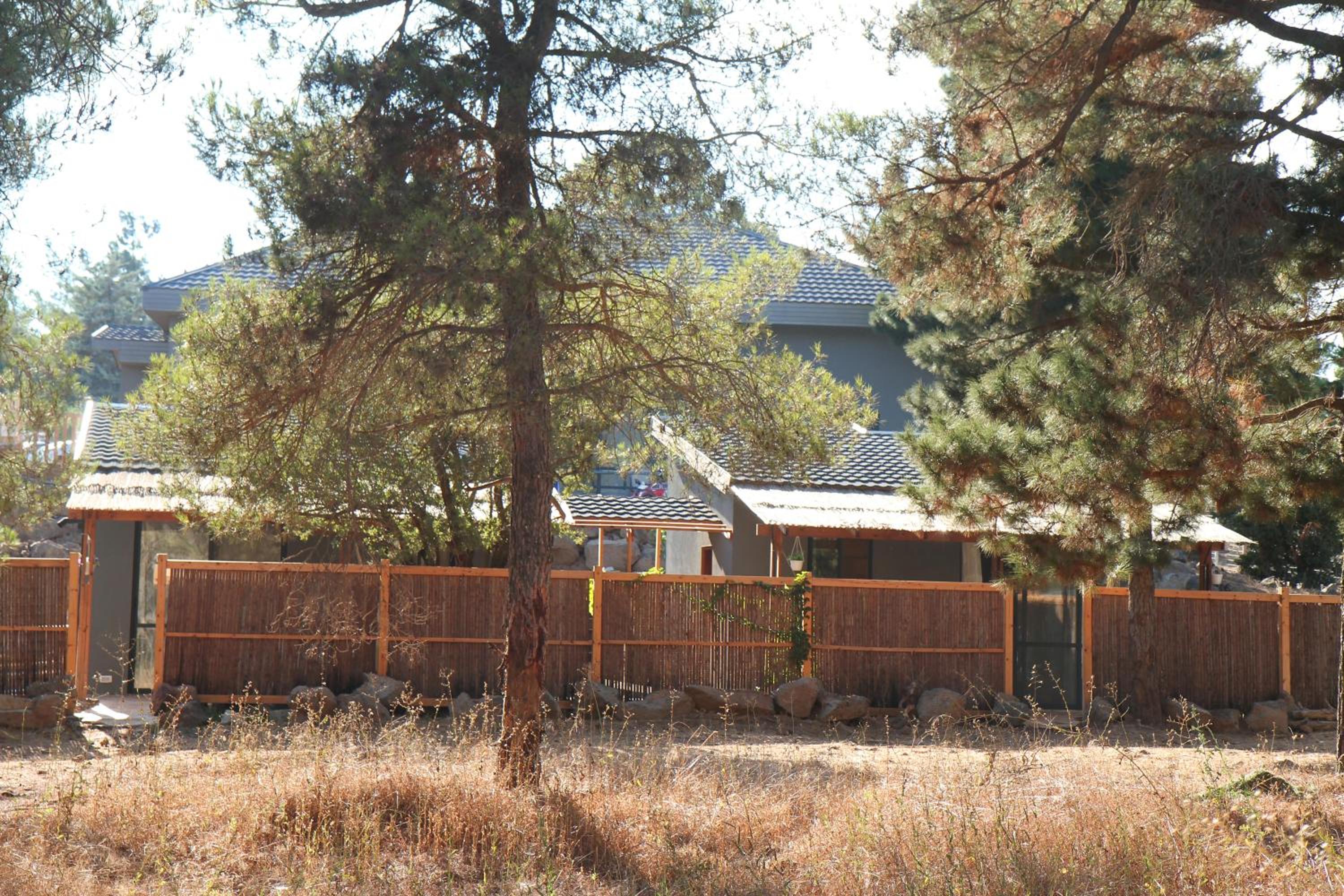 Photo 43