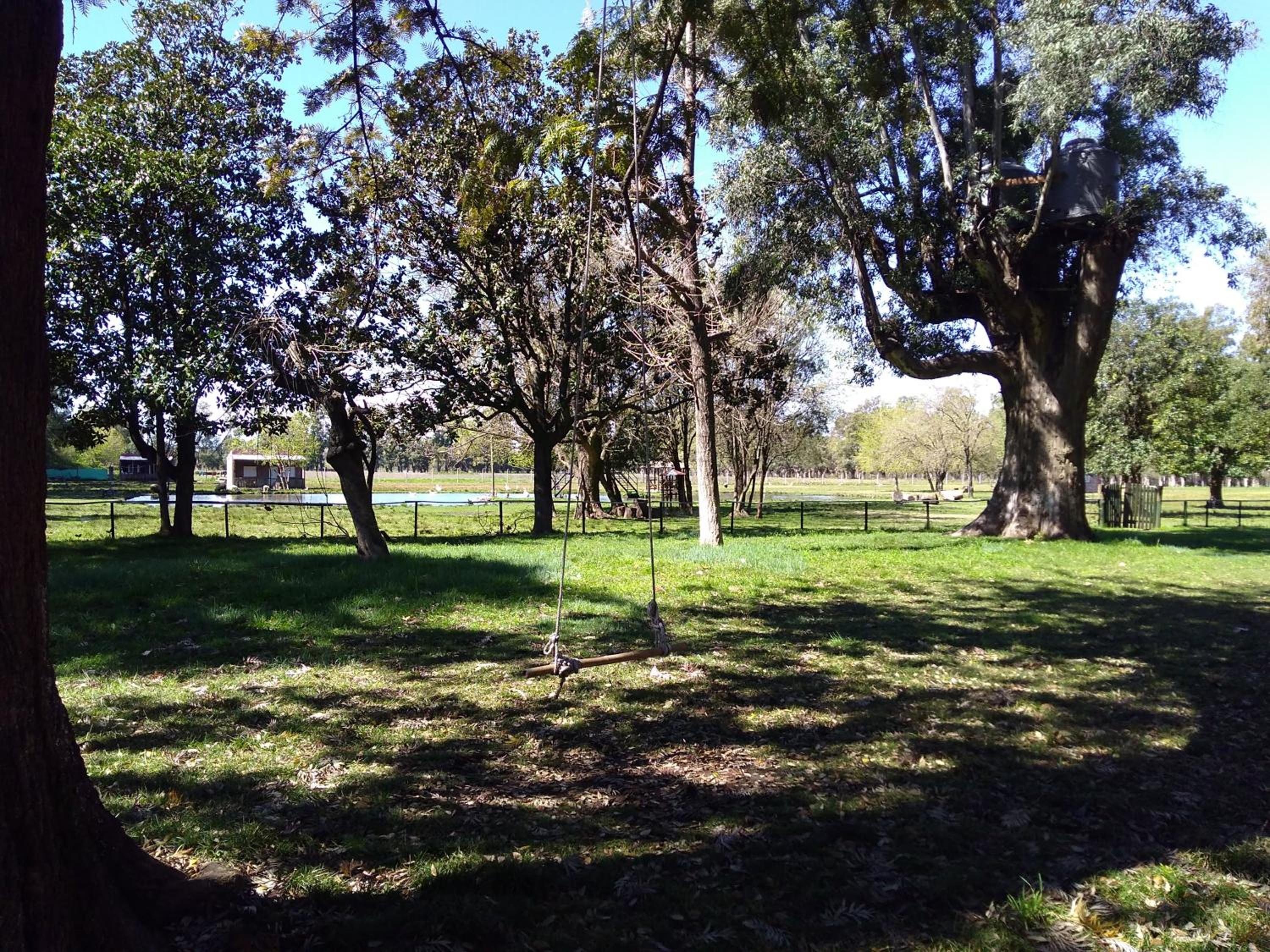 La Justina - Nuestro Campo