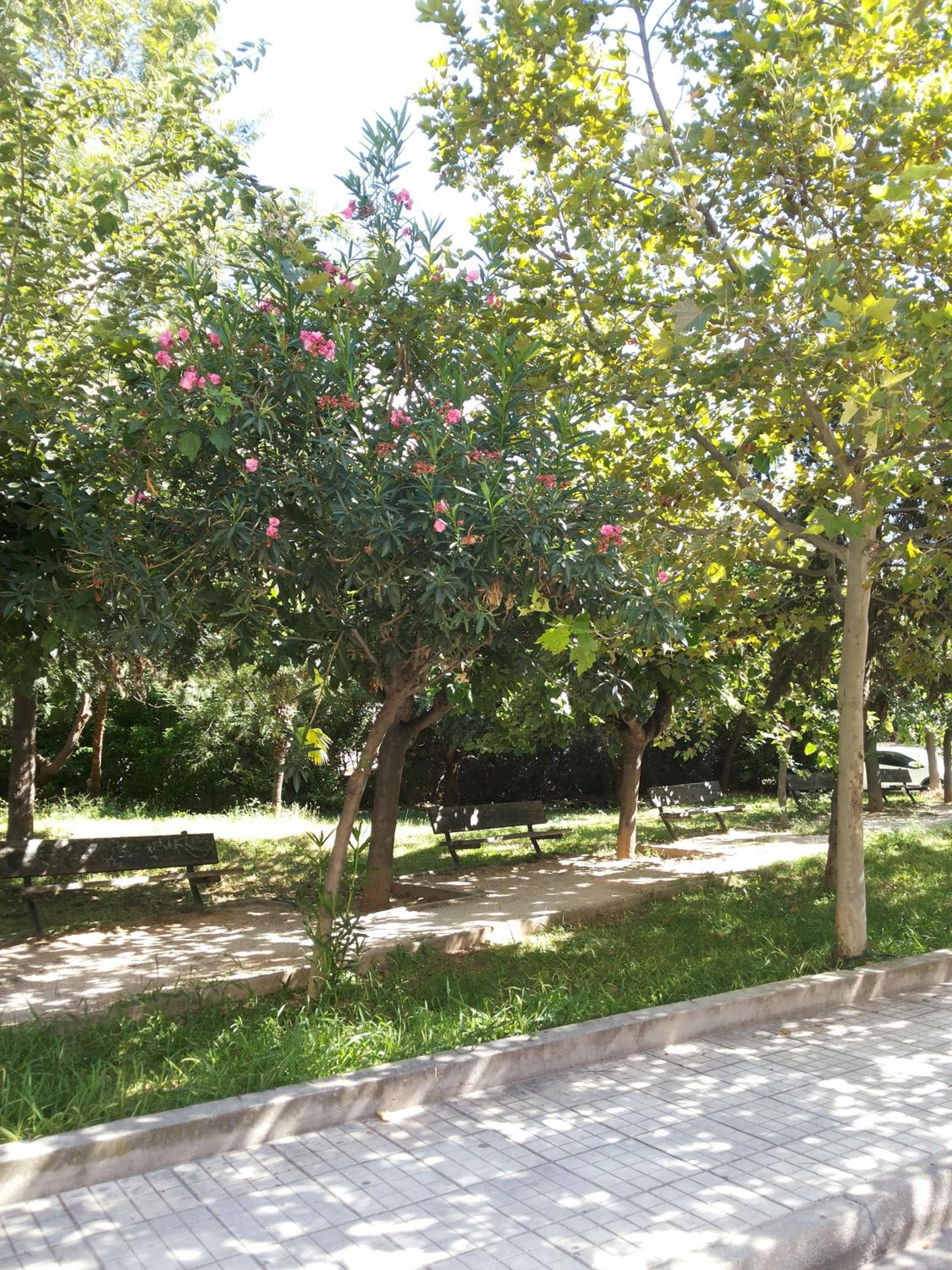 Αnna's Home!!!Holidays in beautiful Athens