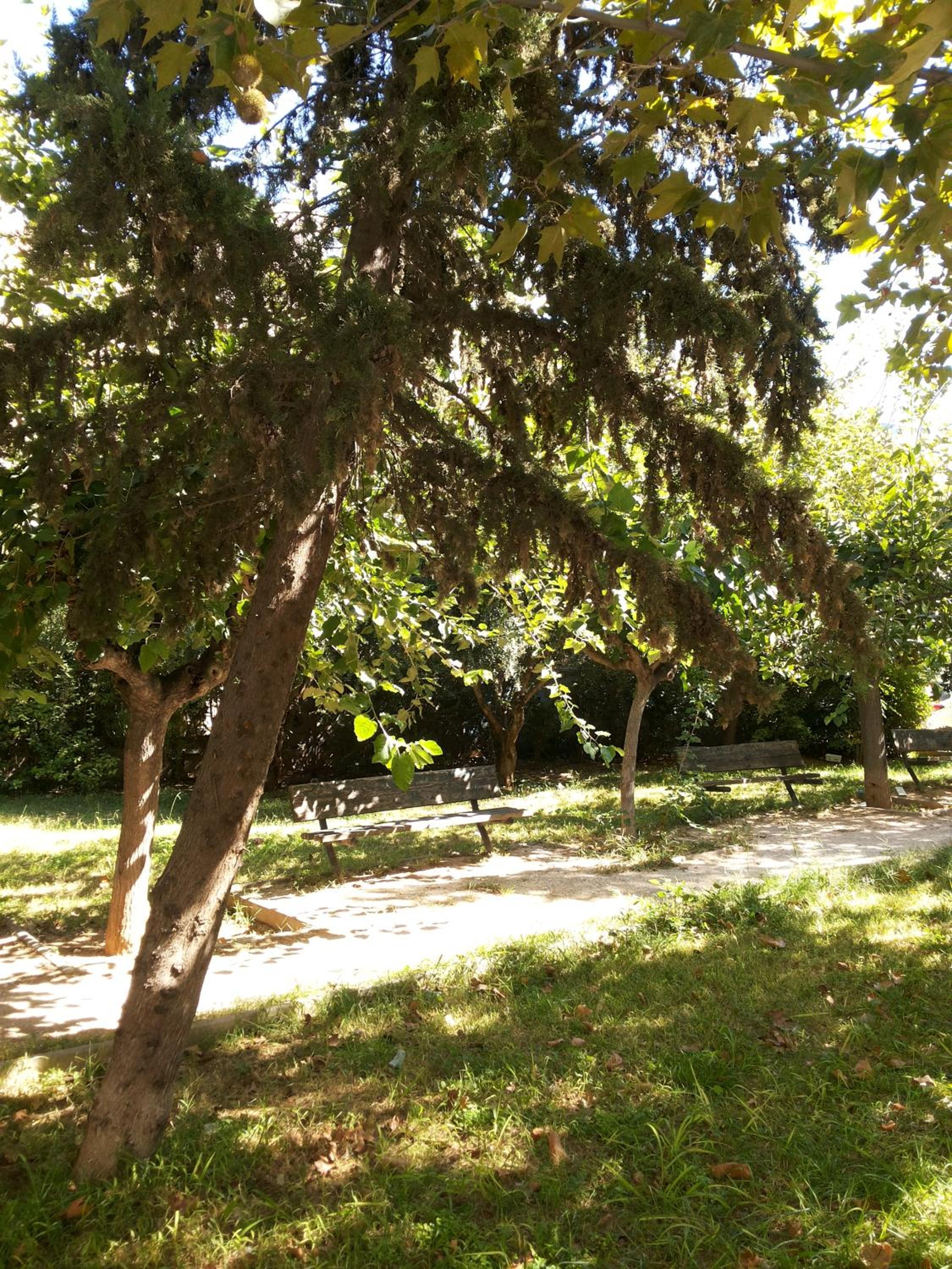 Αnna's Home!!!Holidays in beautiful Athens