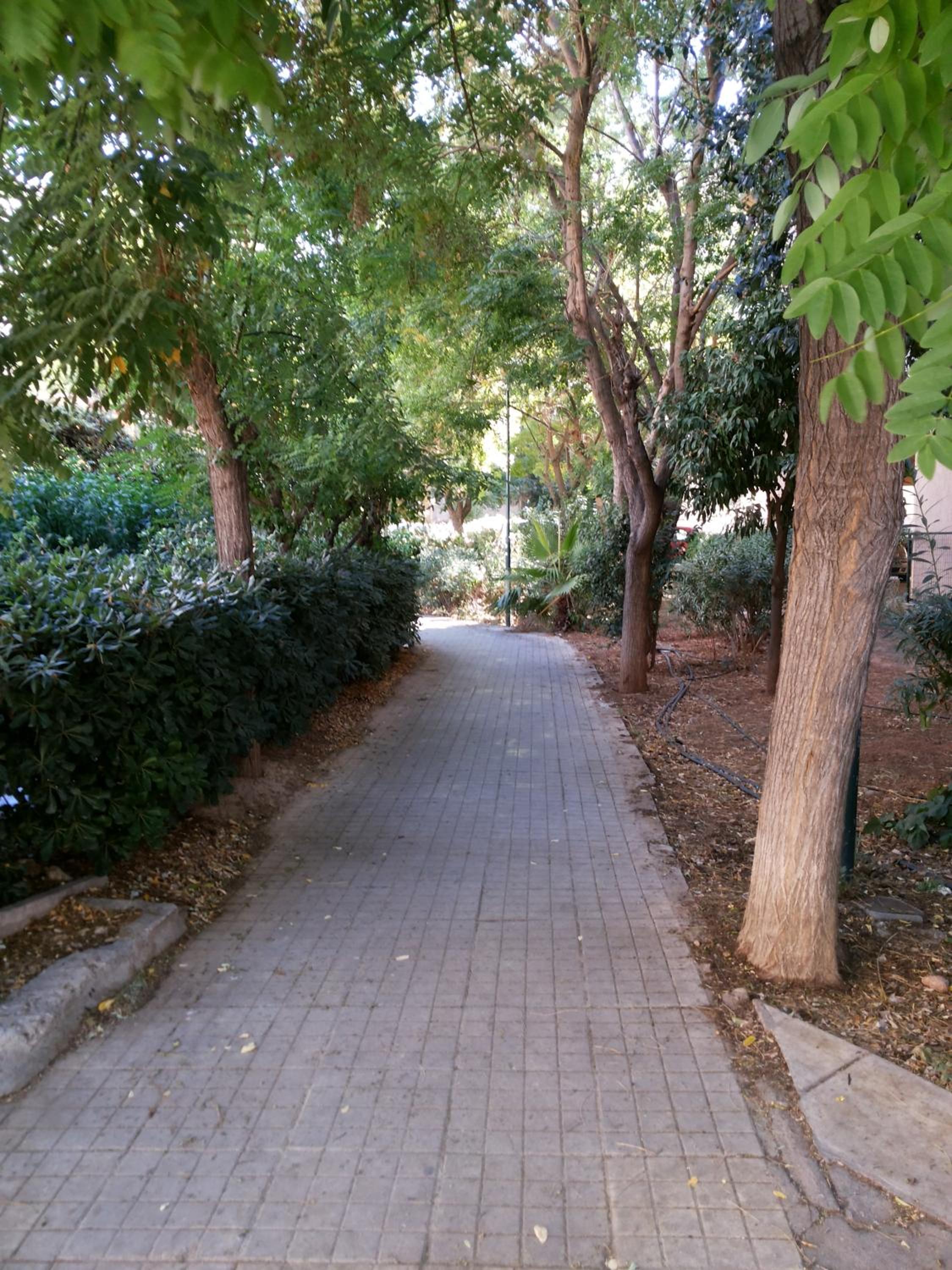 Αnna's Home!!!Holidays in beautiful Athens