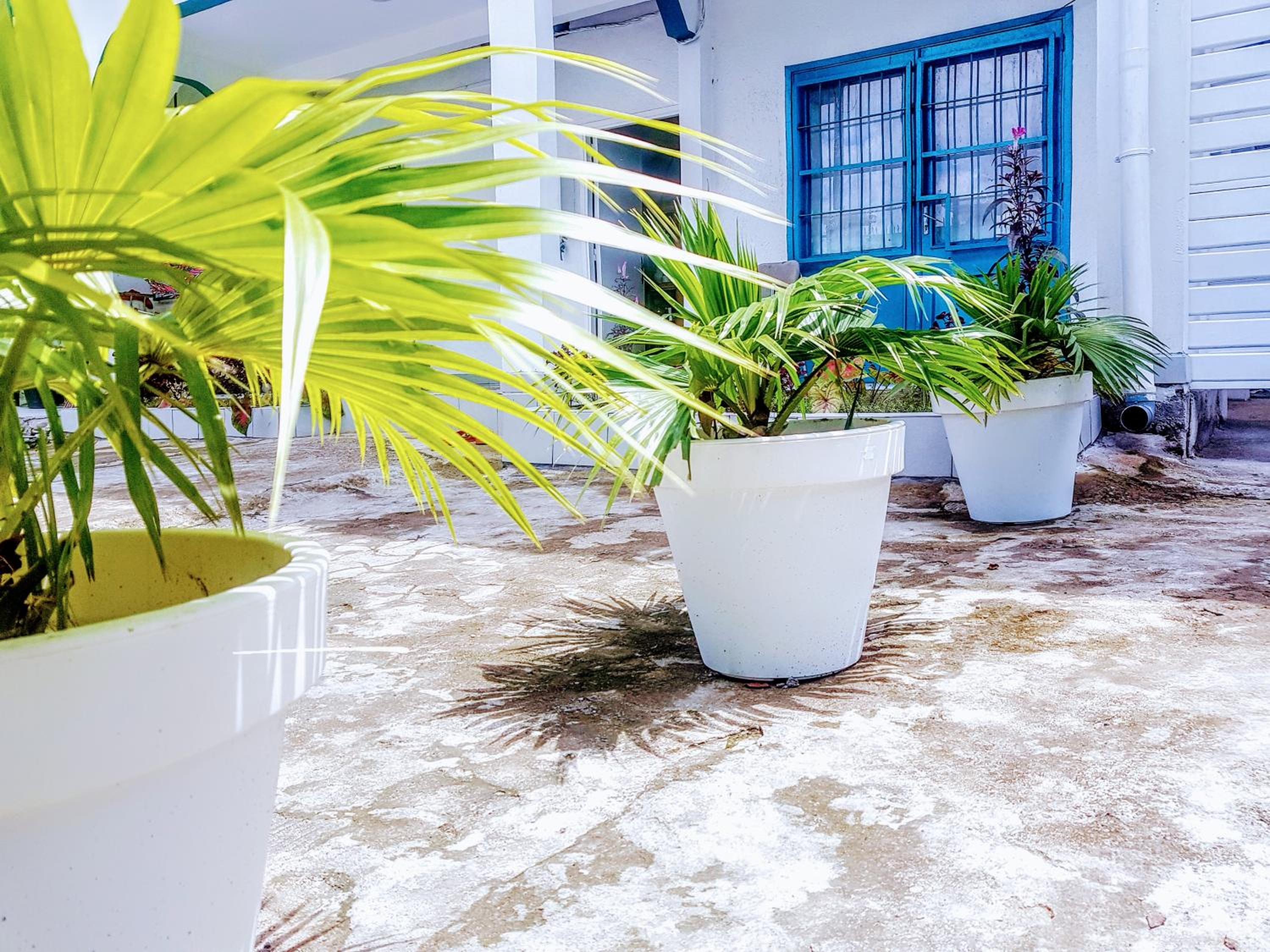 APPARTEMENT MAKEPE BM 2
