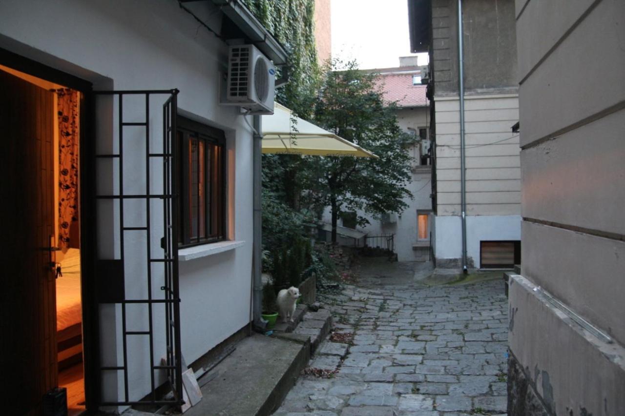 Photo 6