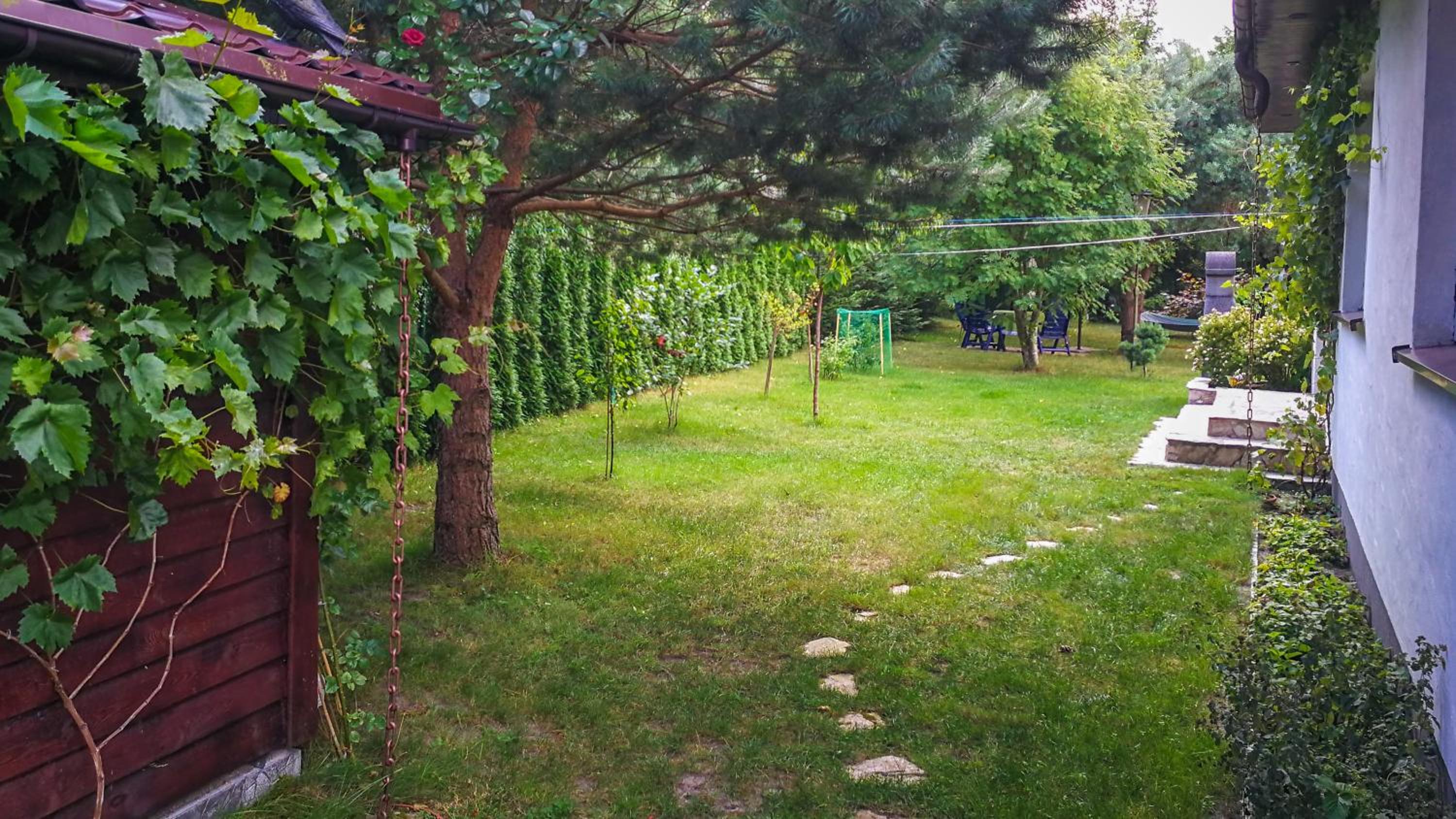 Photo 35