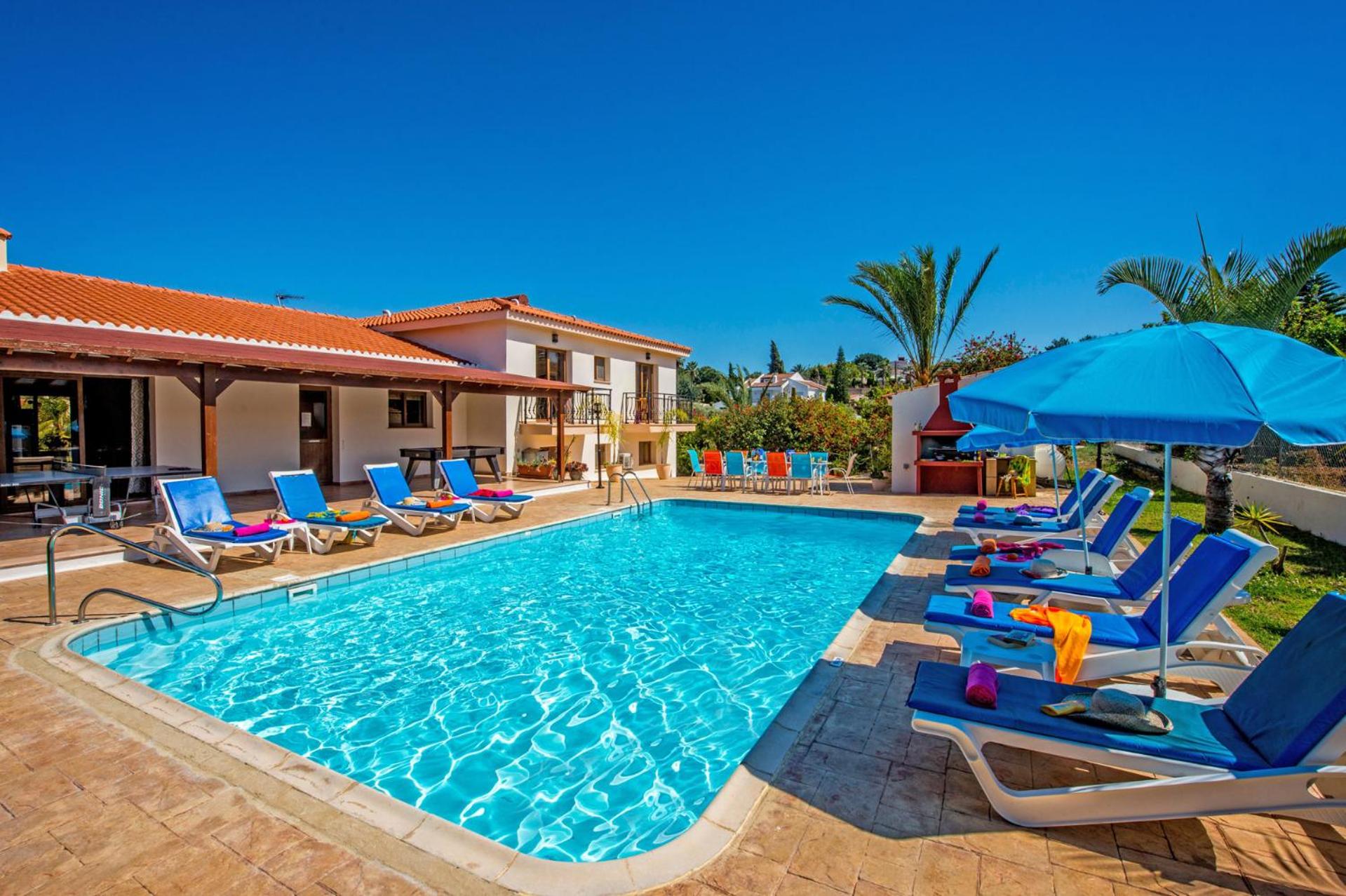 Hotel Androniki Luxury Villa Sea Views Pool BBQ WiFi A/C - Image 1