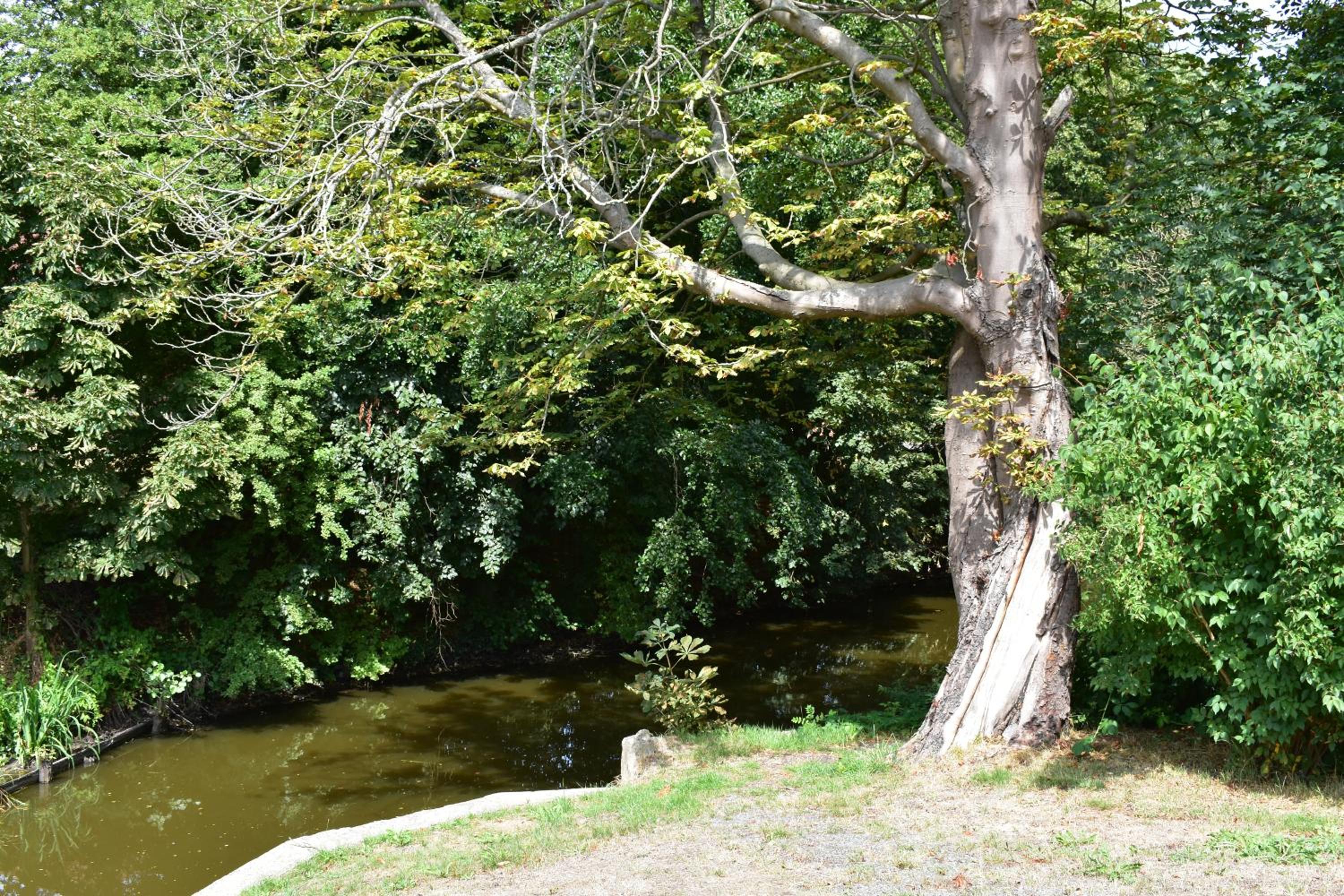 Photo 26