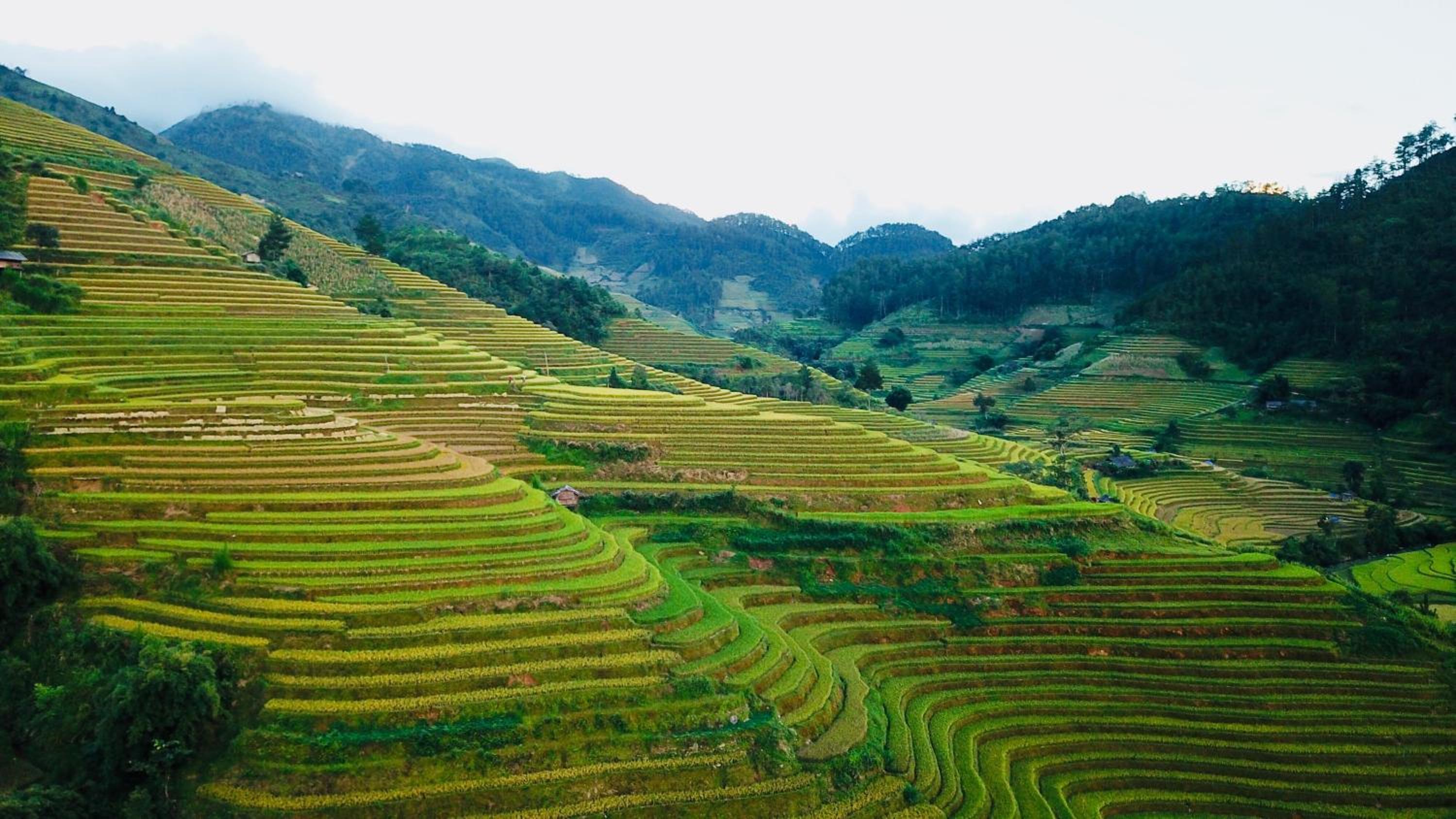 Hello Mu Cang Chai Homestay & Tours
