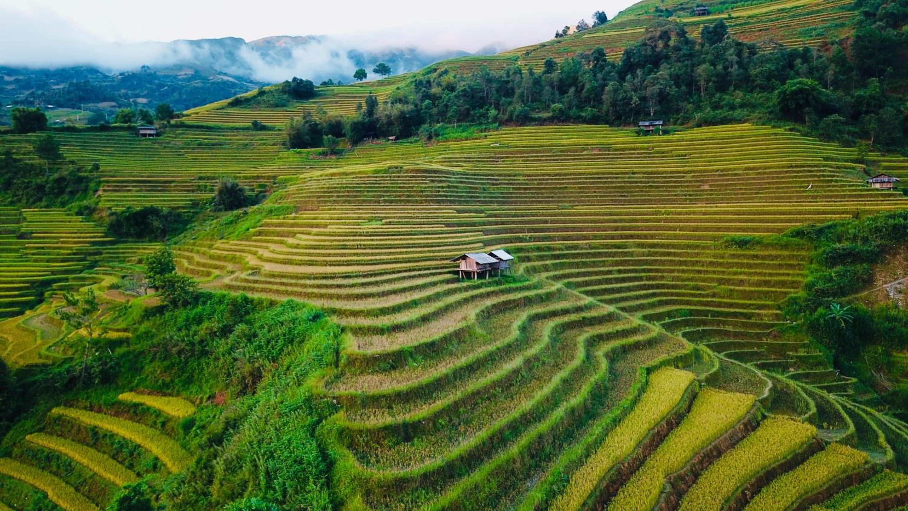 Hello Mu Cang Chai Homestay & Tours