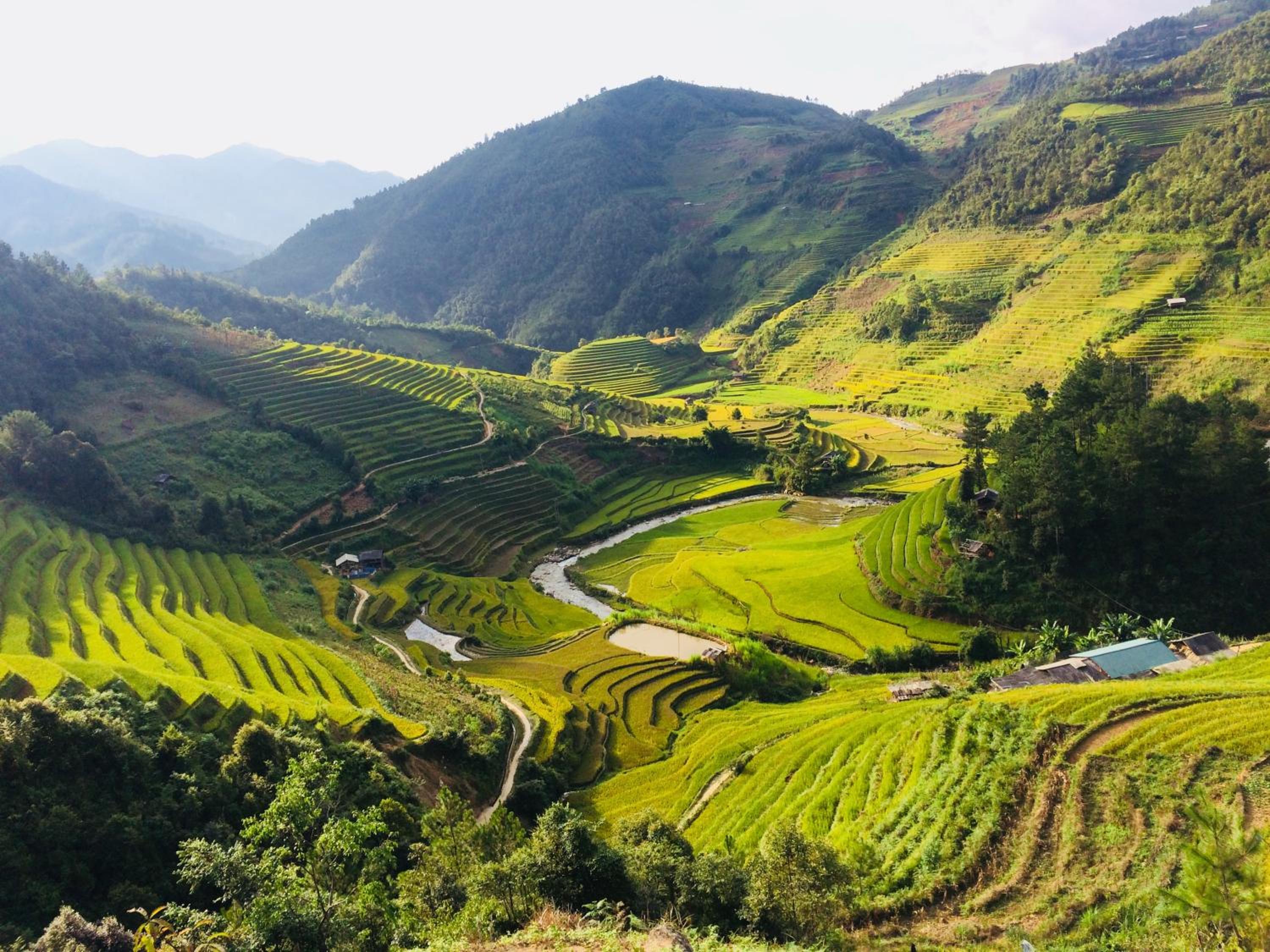 Hello Mu Cang Chai Homestay & Tours
