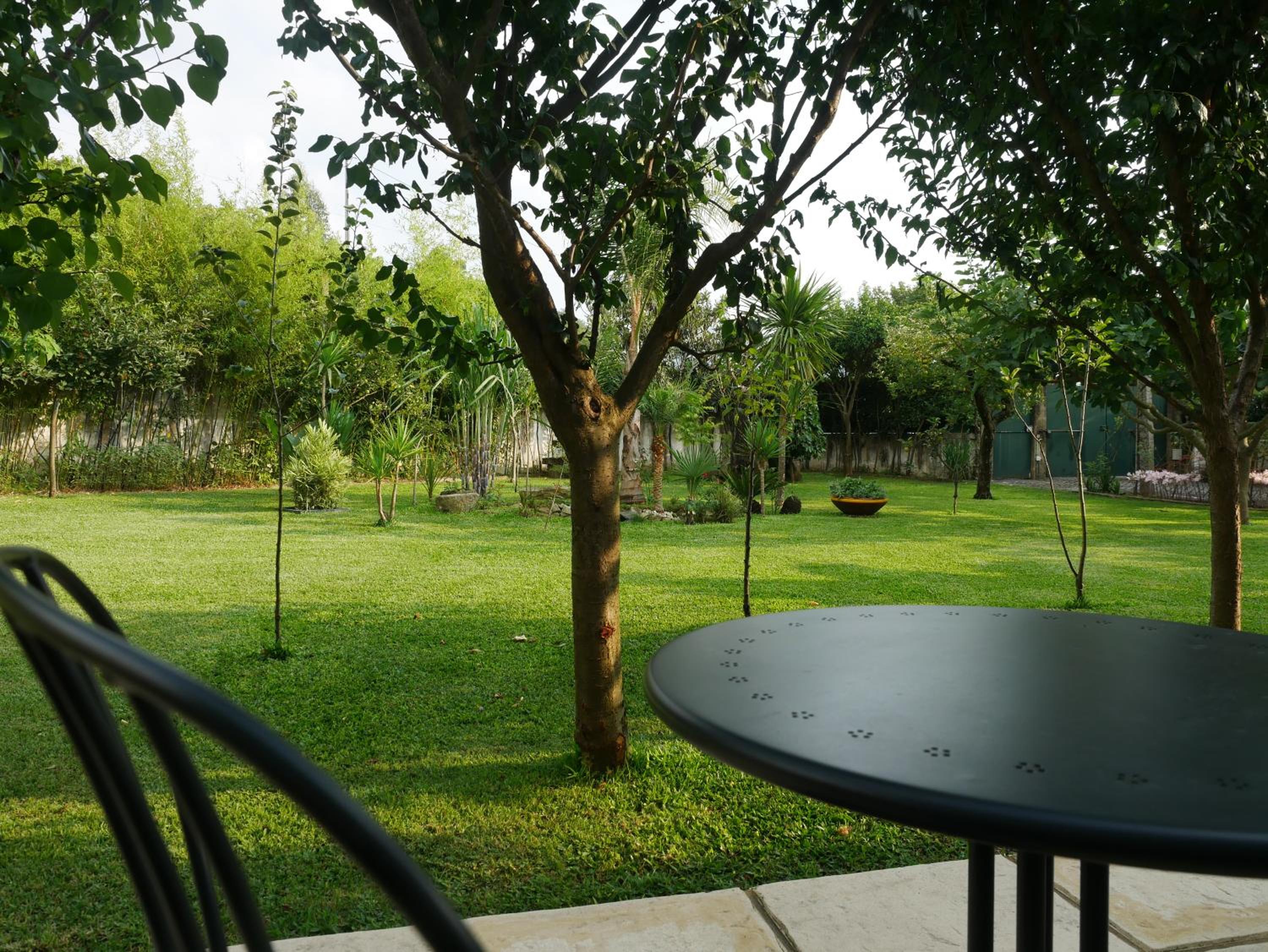 Photo 13