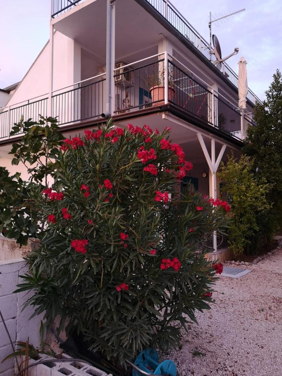 Photo 36