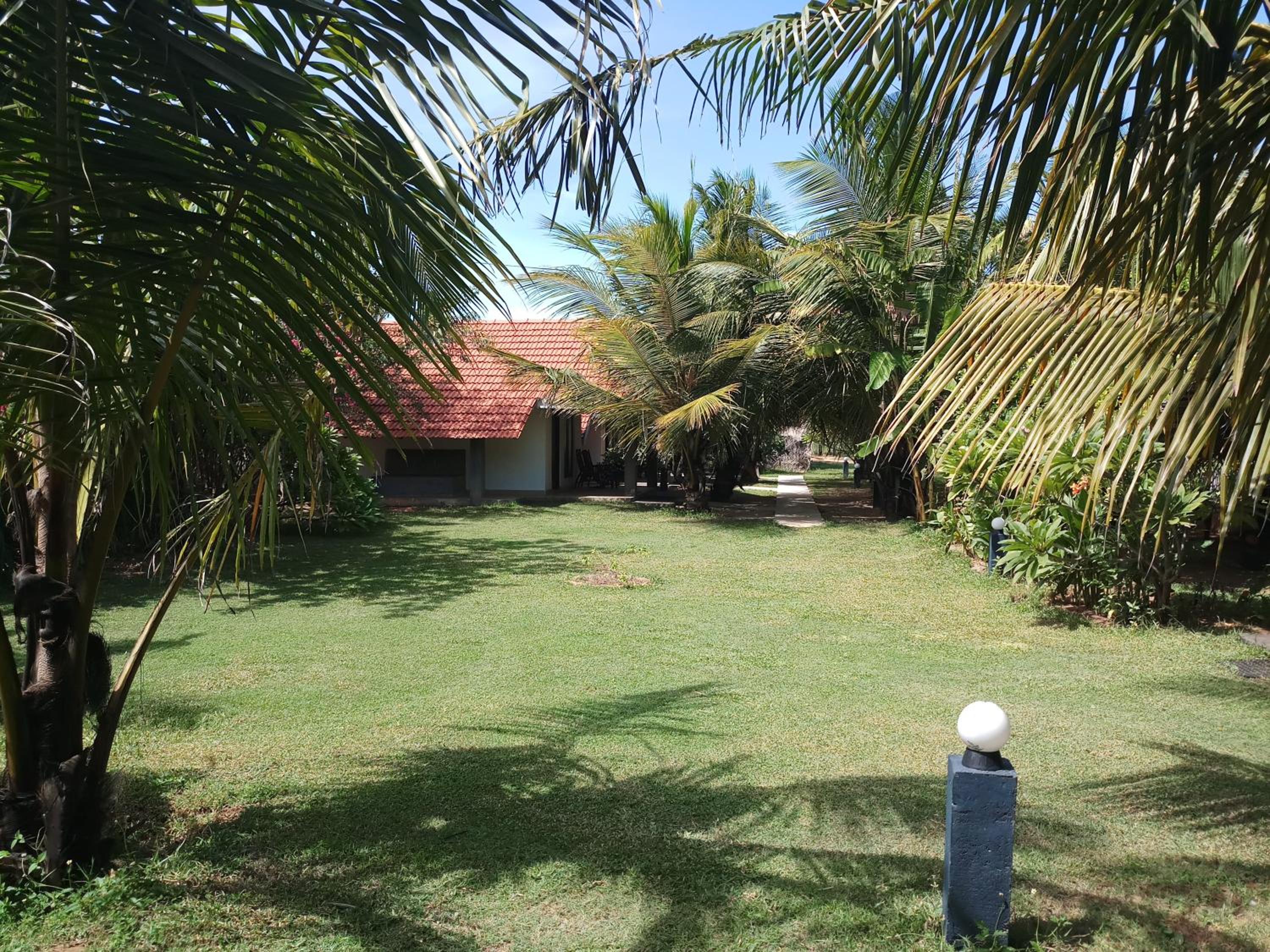 Photo 38