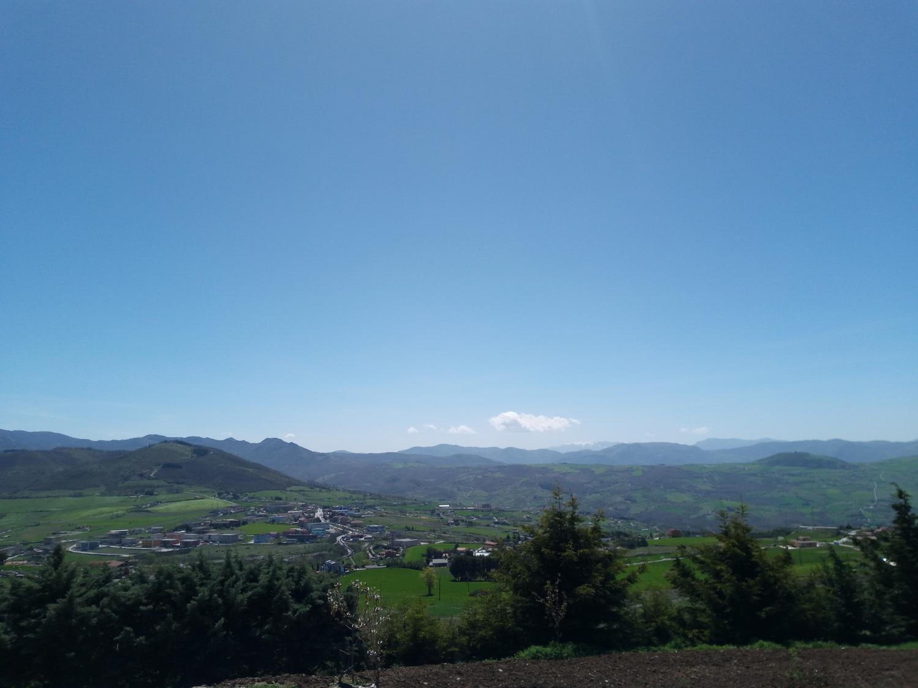 Photo 45