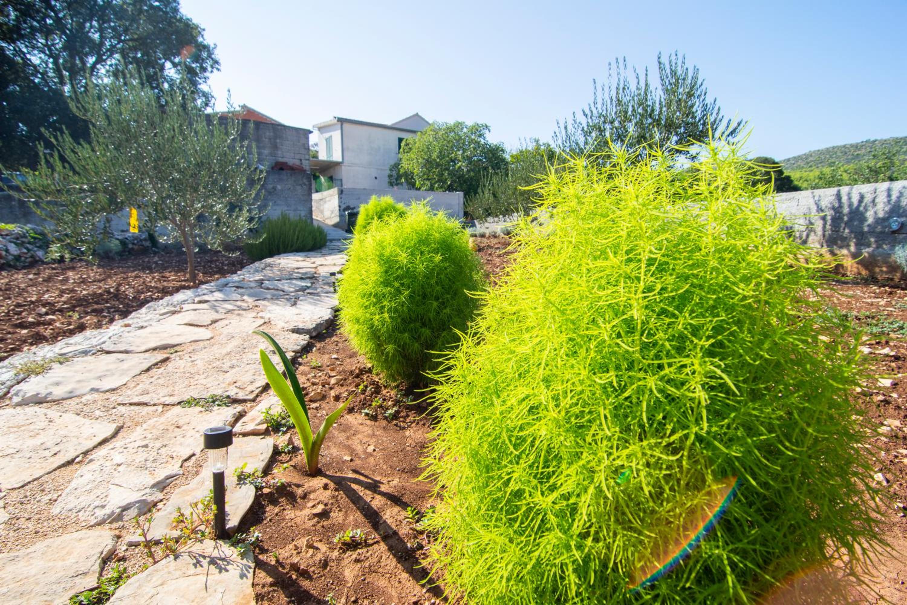 Apartmani Perkovic