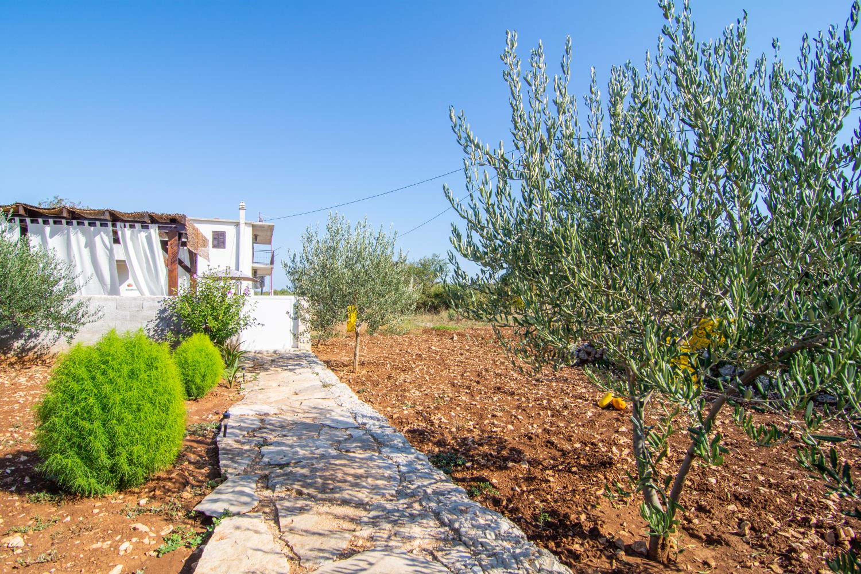 Apartmani Perkovic