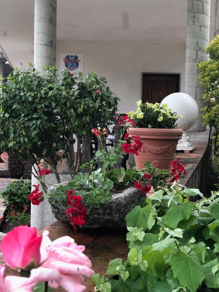 B&B Primerano SP73 view 5