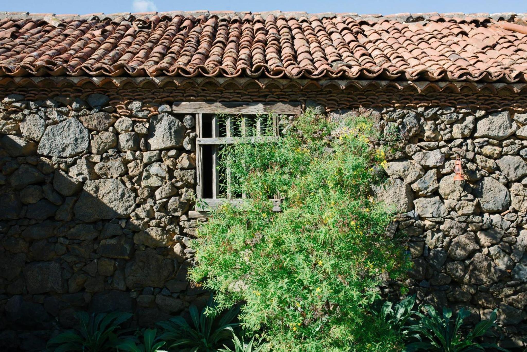 Photo 48
