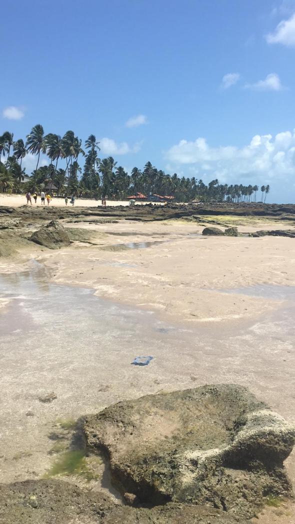 Flats de Luxo em Carneiros, a beira mar, pé na Areia | Carneiros Beach Resort
