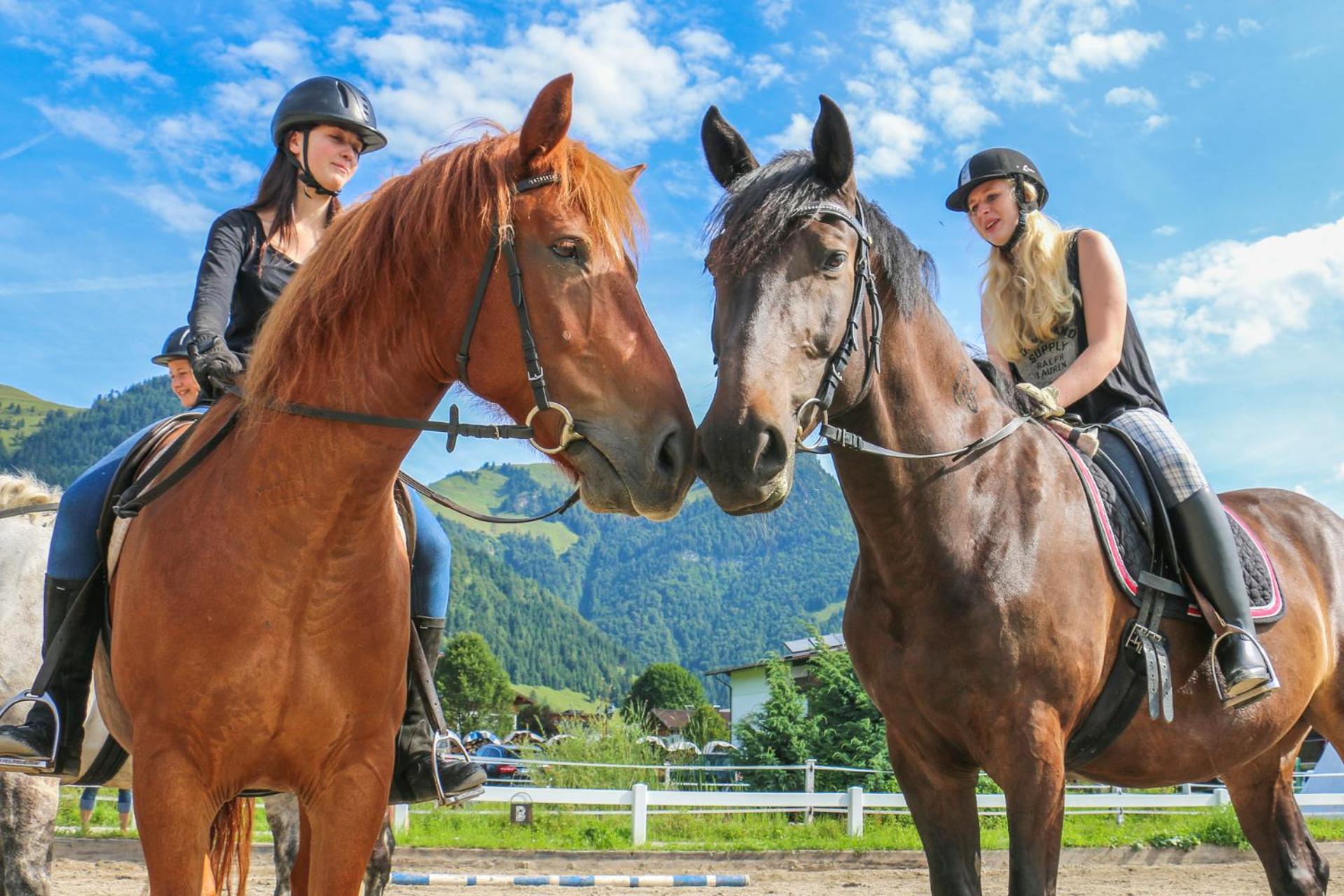 Reitanlage Dagnhof
