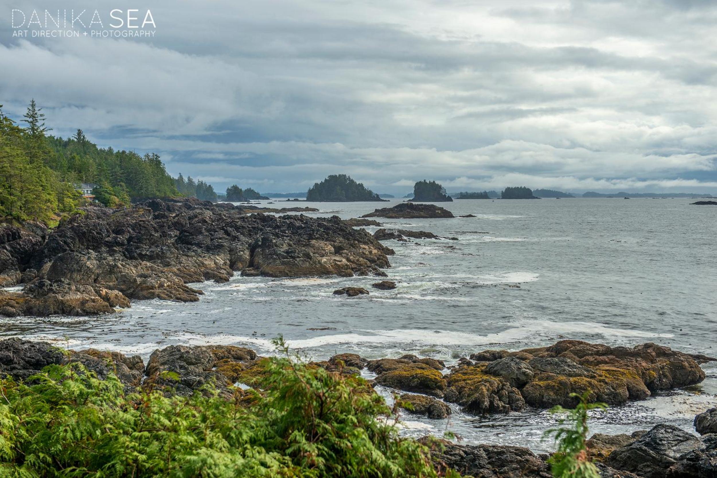 Sounds of the Sea