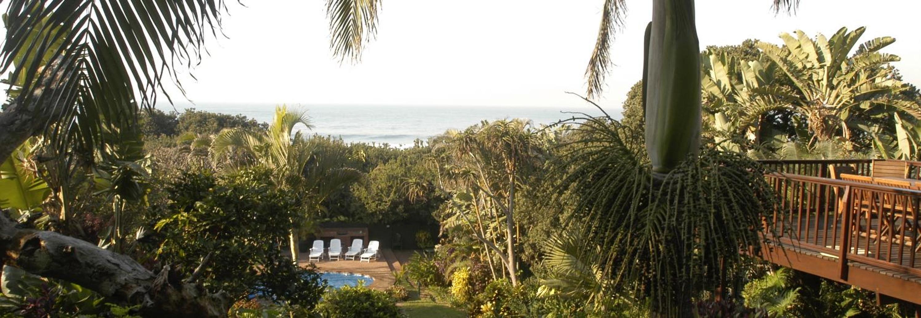 Thatch by the Sea view 4