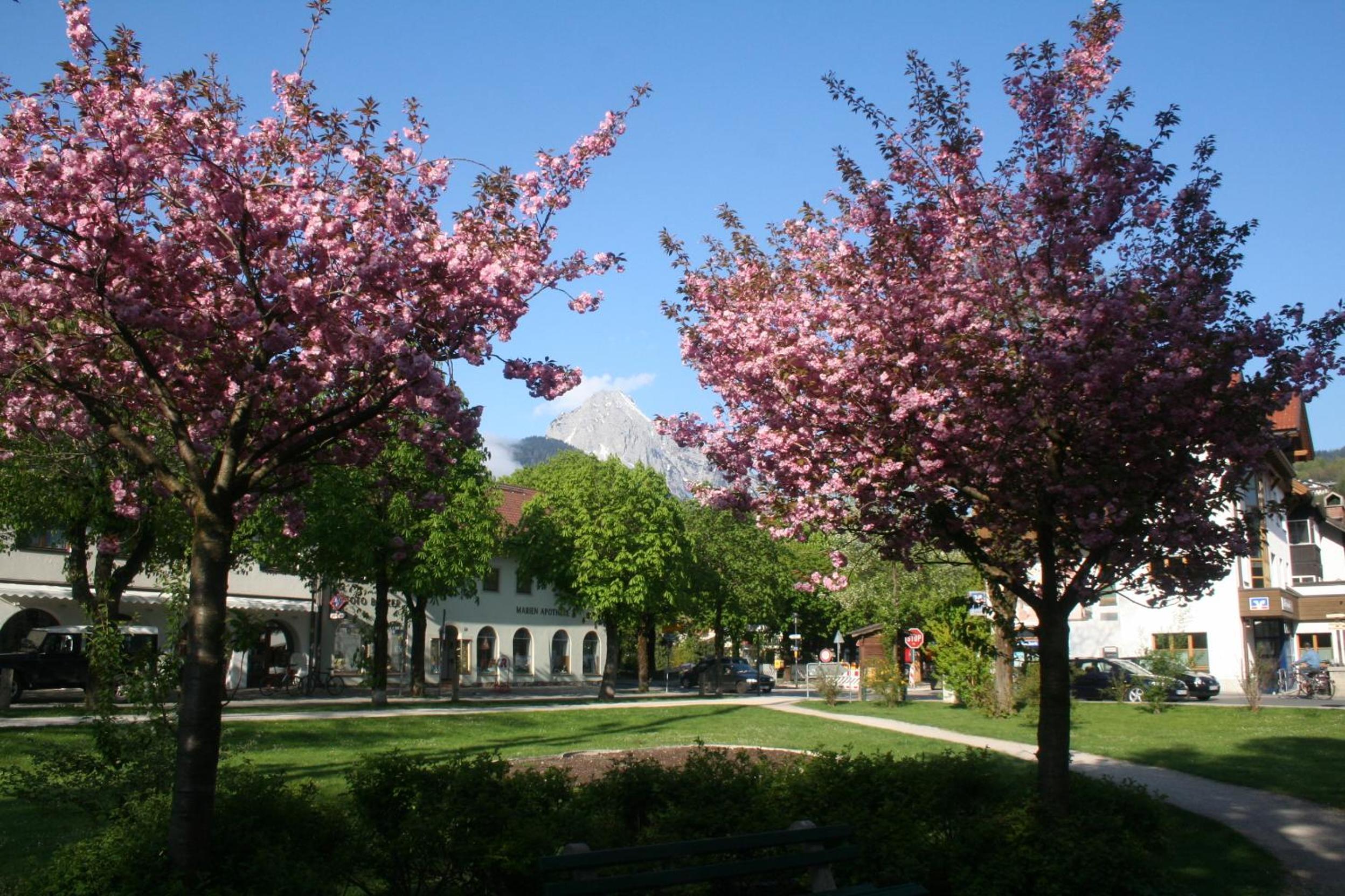 Gästehaus Sonnenheim