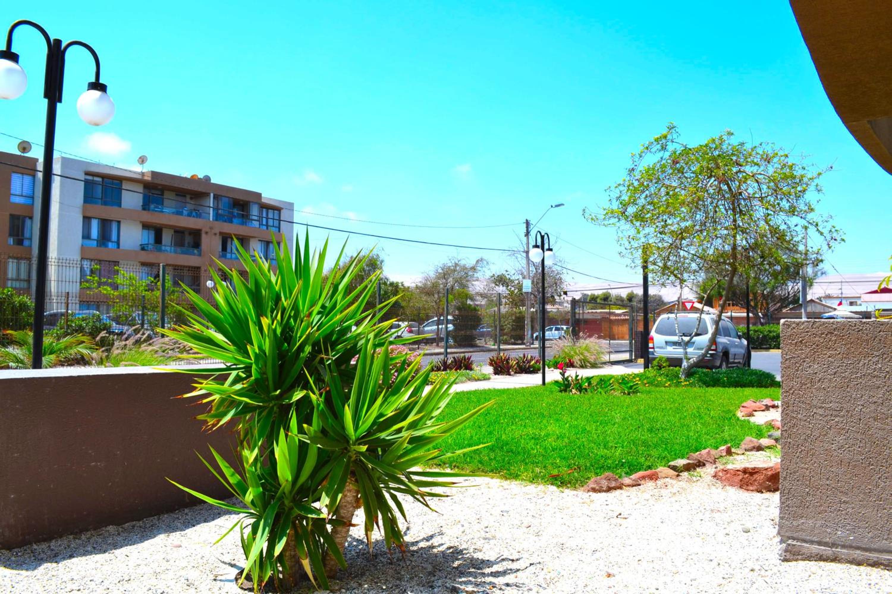 Apartamentos Alma Socoroma