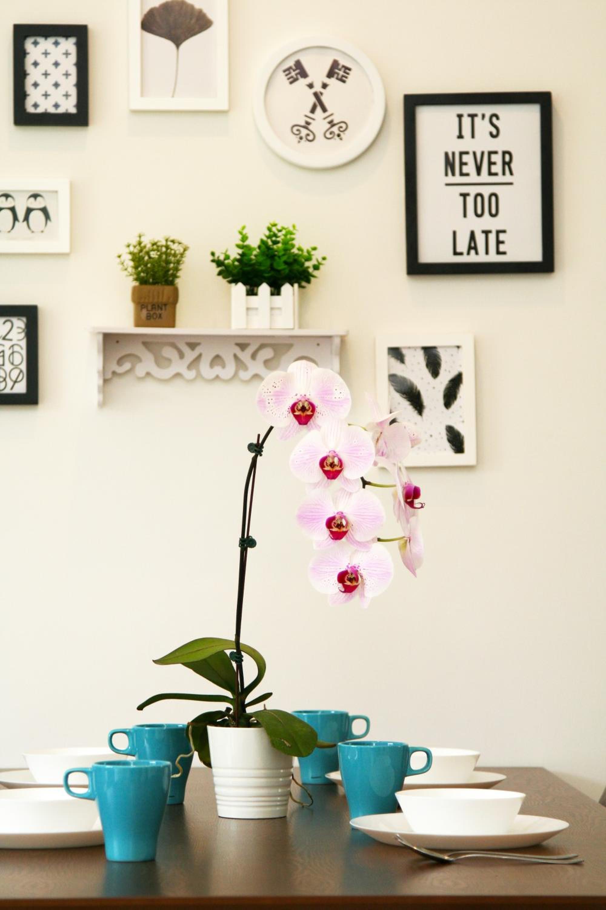 RELAX & COZY HOME @ MIDHILLS GENTING photo 7