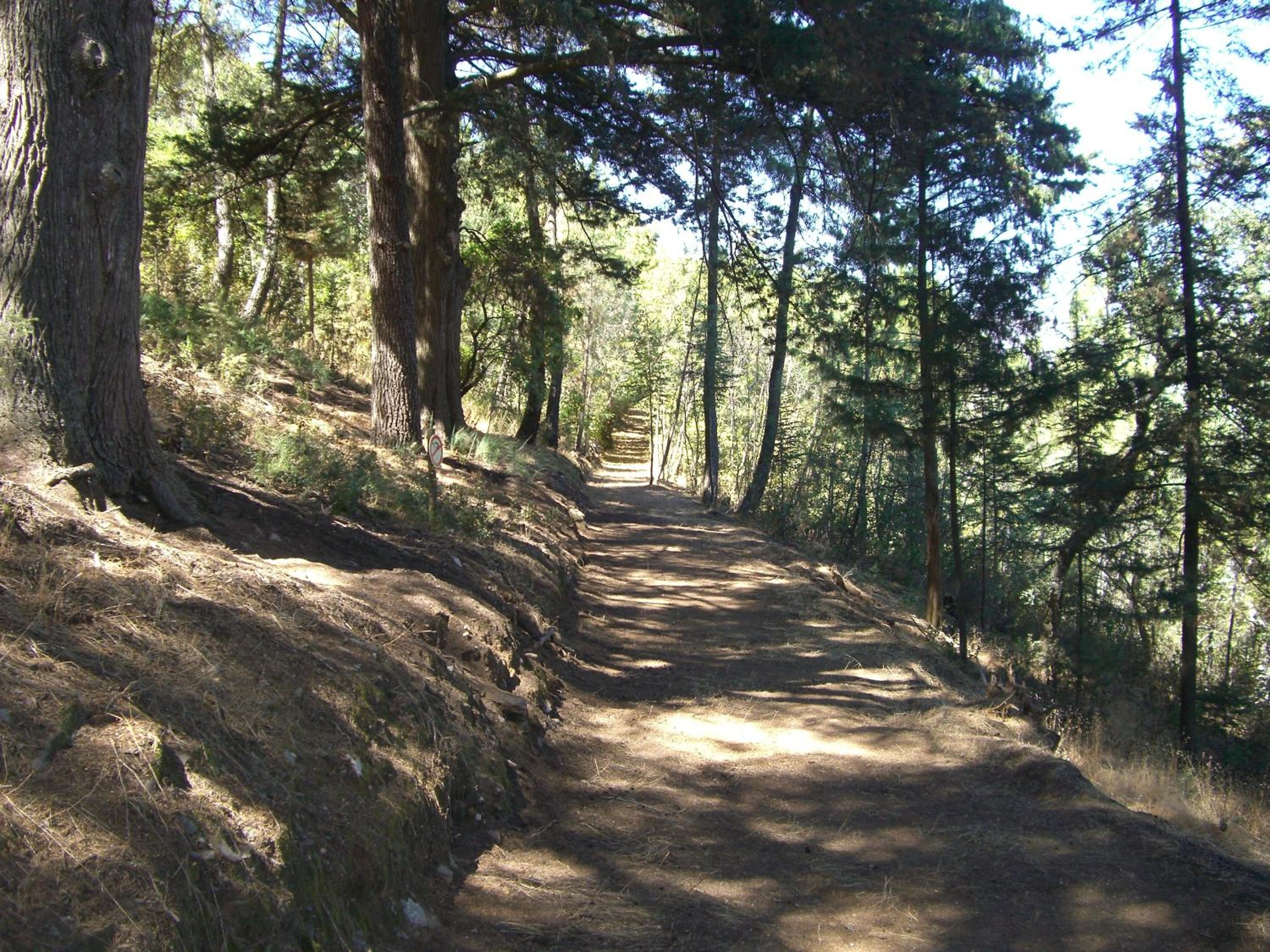 Photo 31