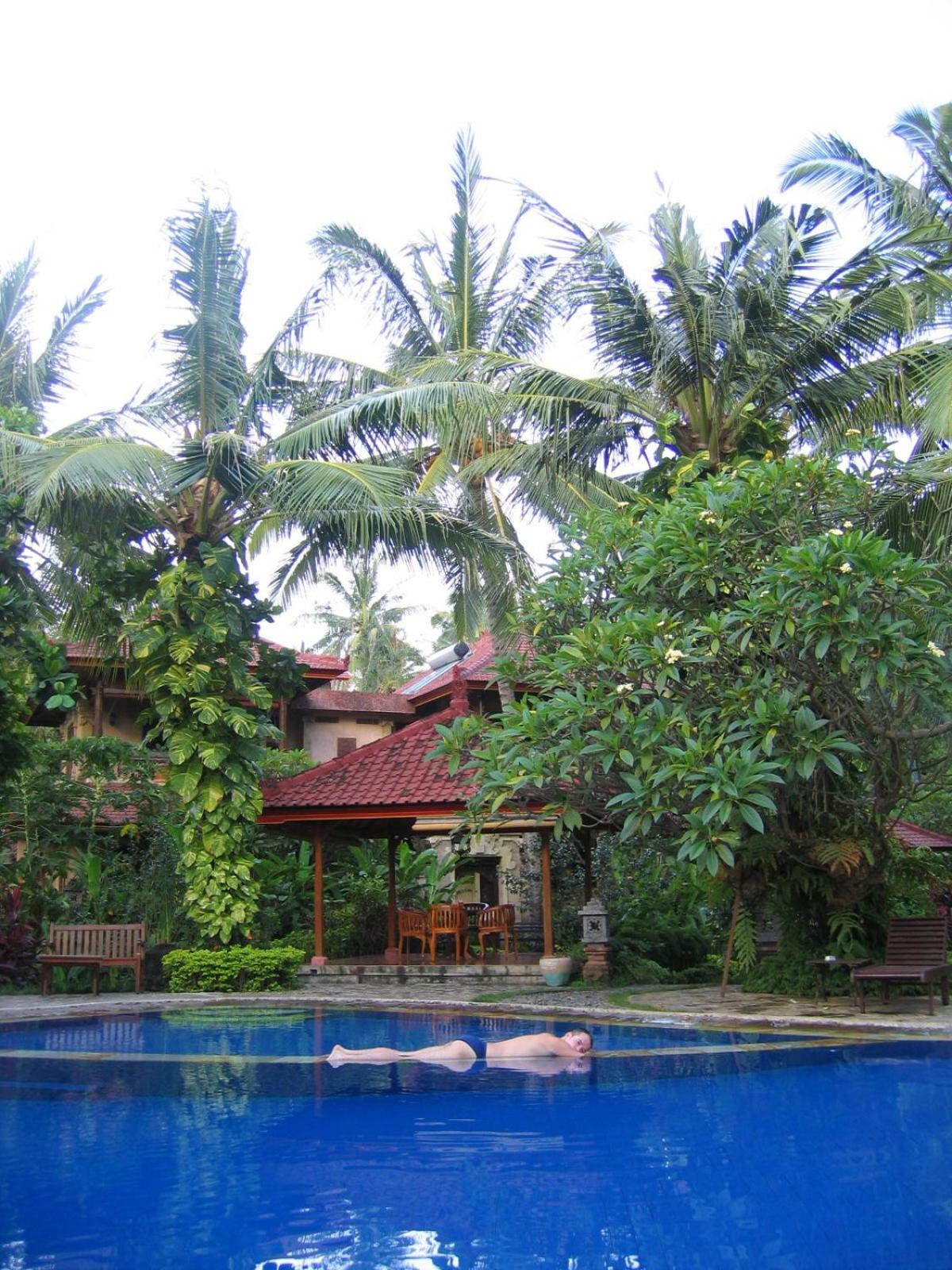 Banyualit Spa 'n Resort Lovina view 5