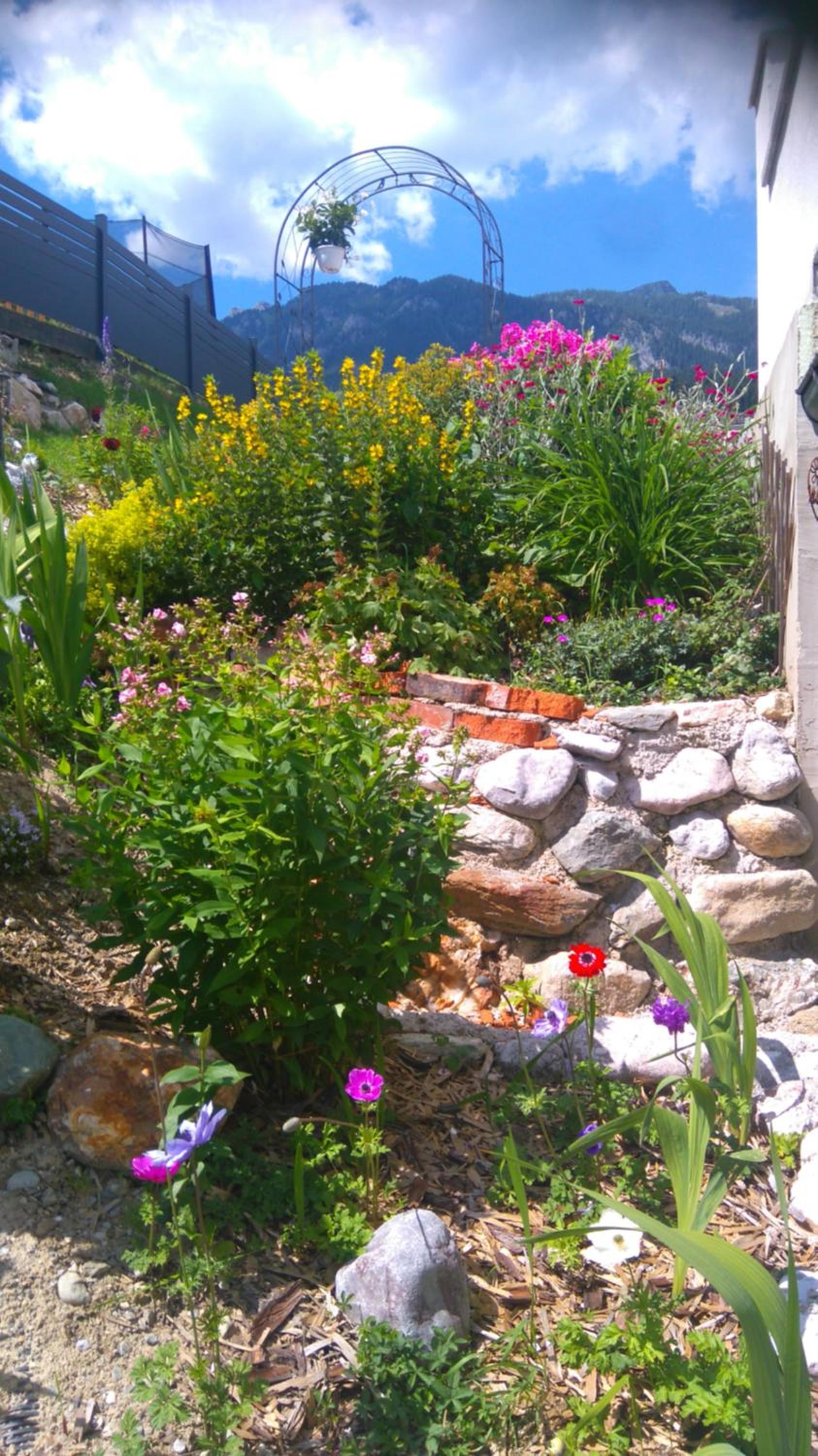Photo 49