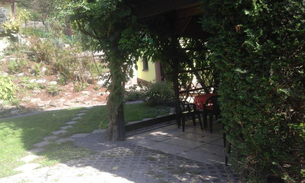 Photo 11