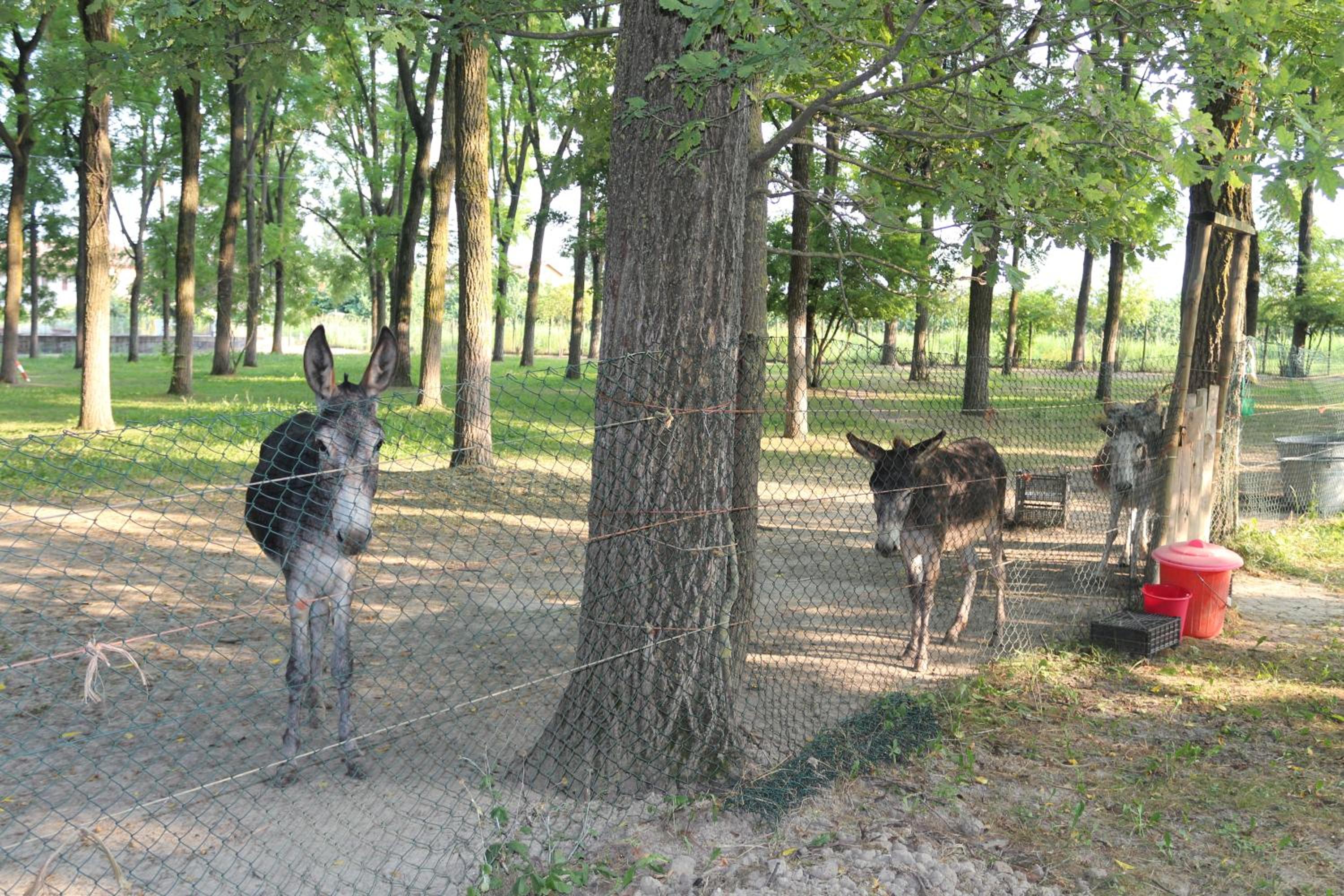 Locanda Del Molino Vecchio