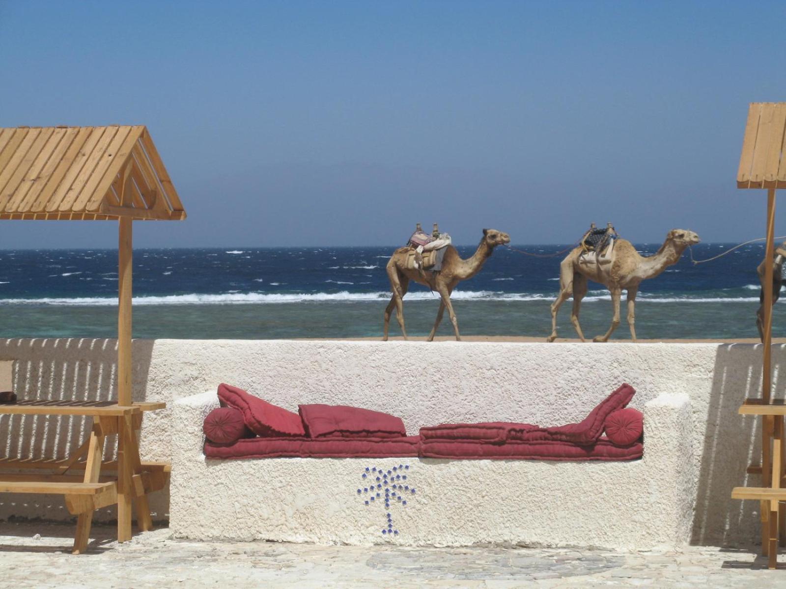 Daniela Diving Resort Dahab