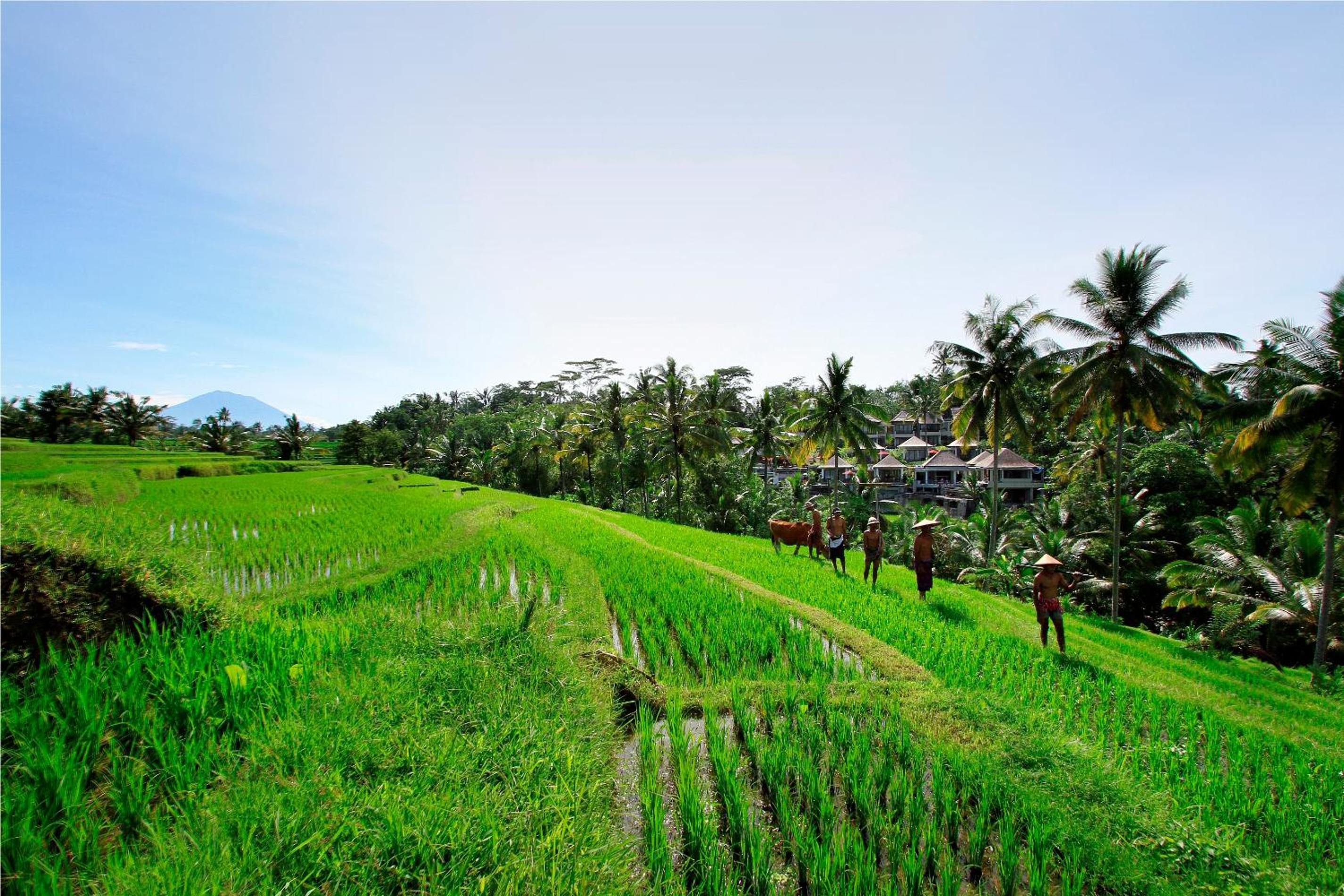 Puri Sebali Resort