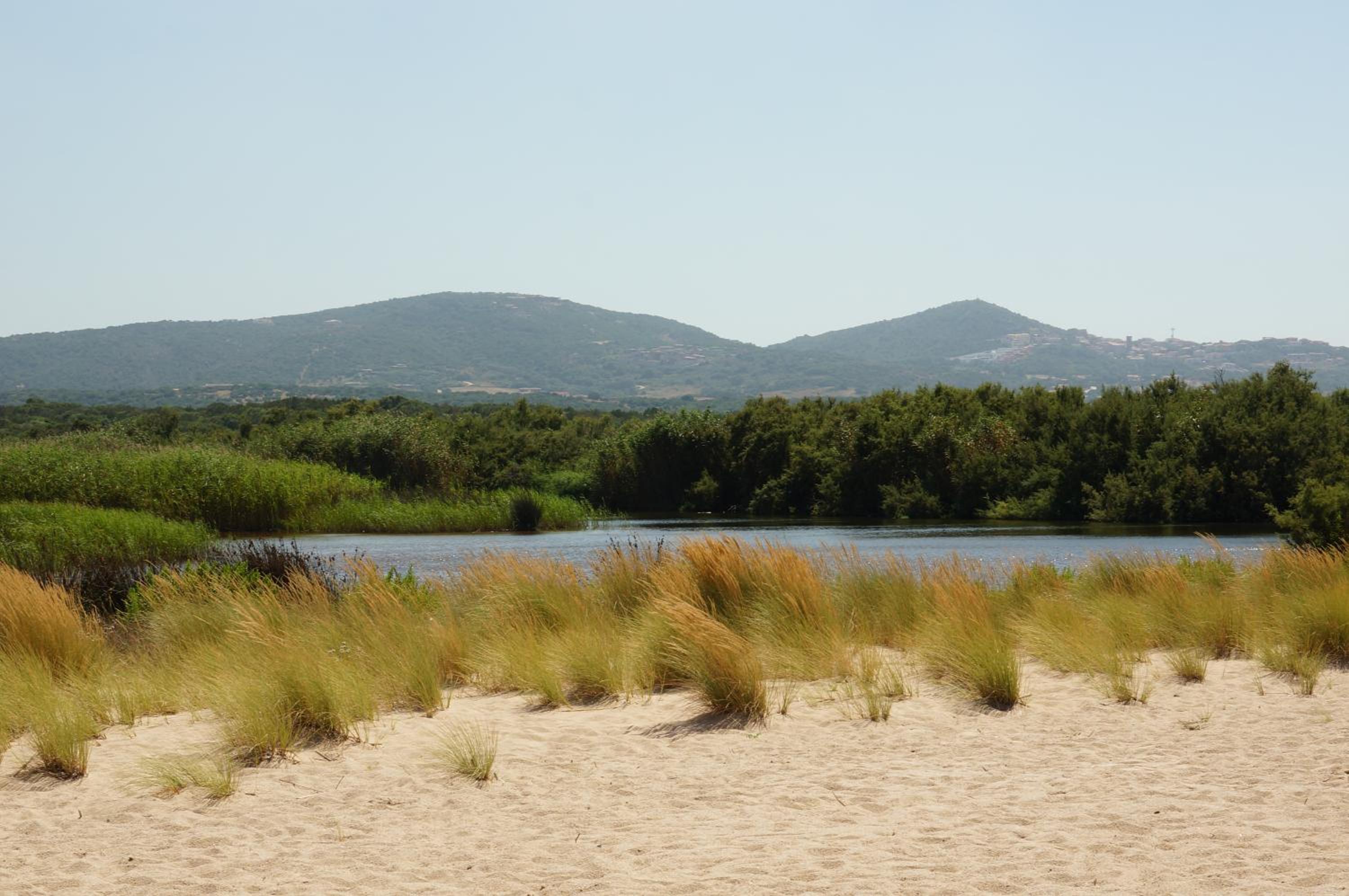 Photo 46