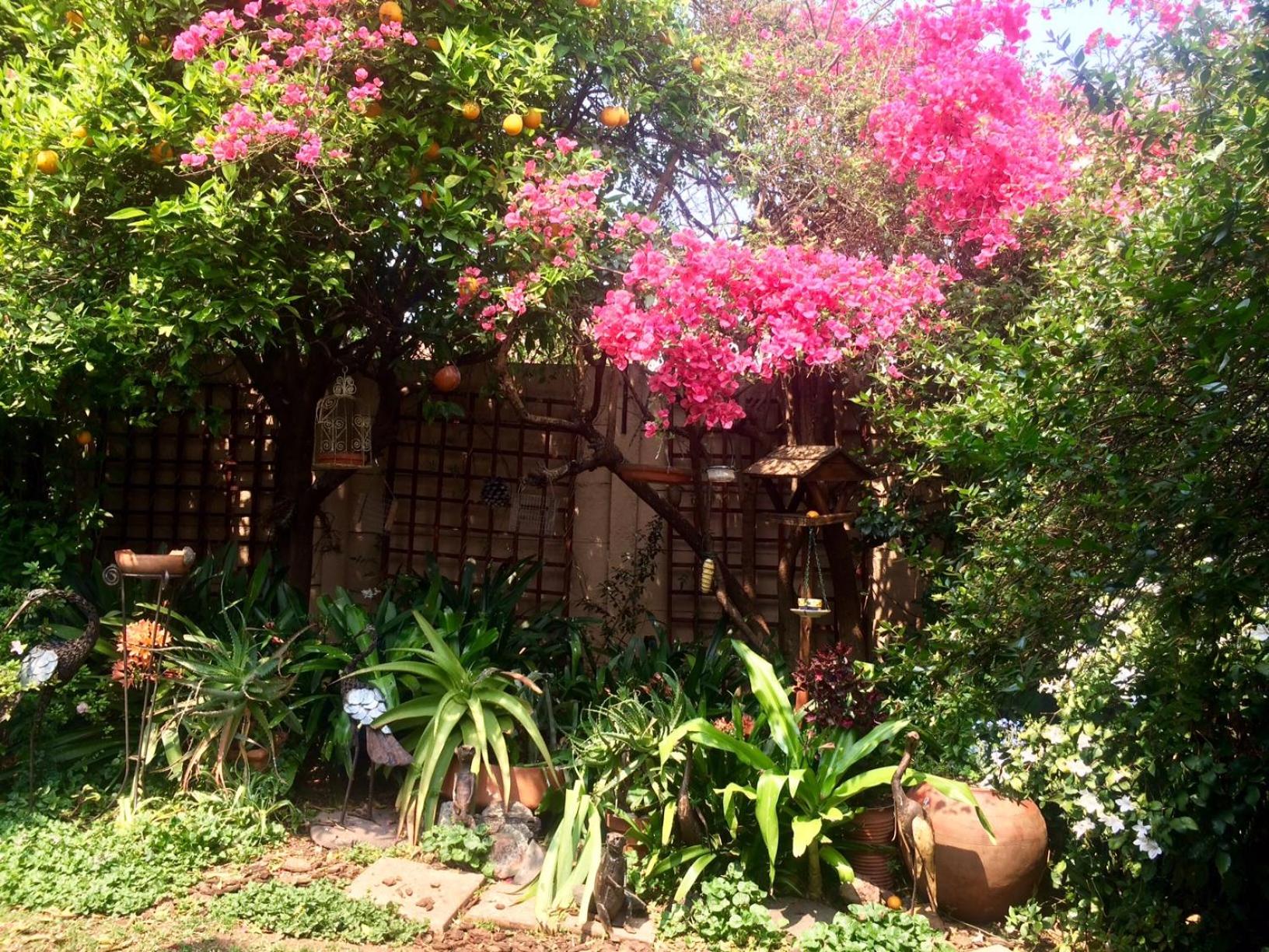 Claires of Sandton Luxury Guest House