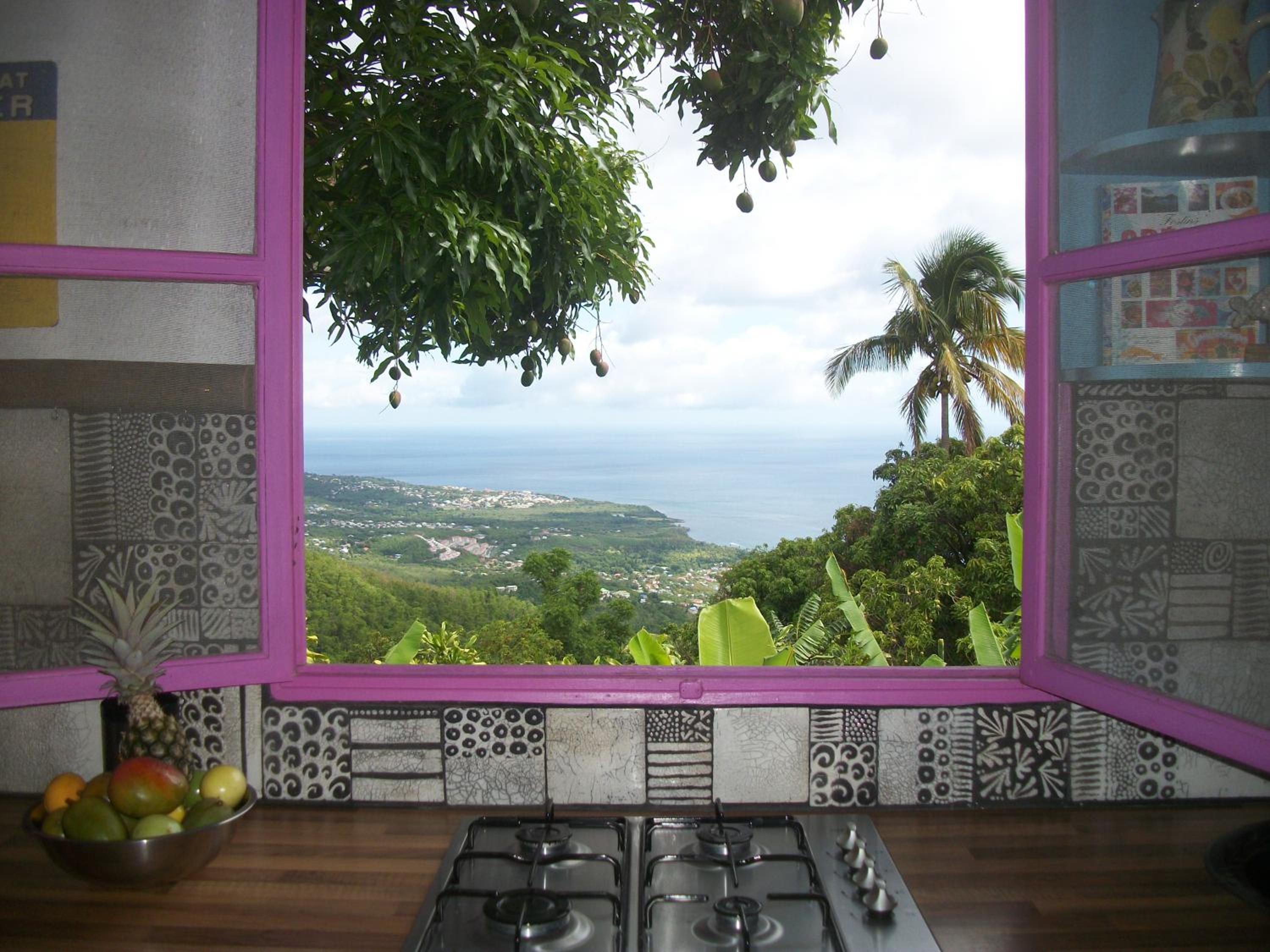 mango tree lodge