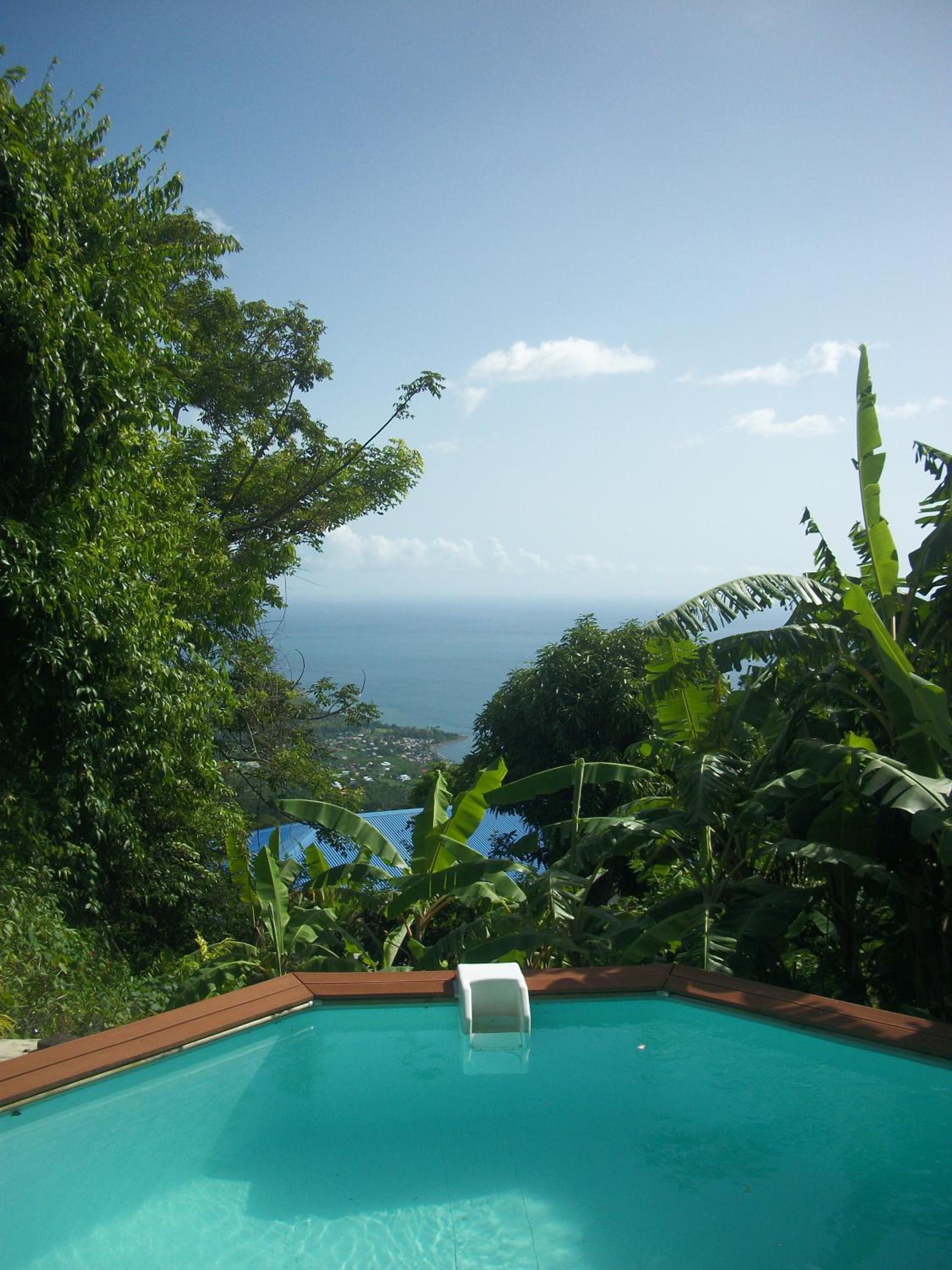 mango tree lodge