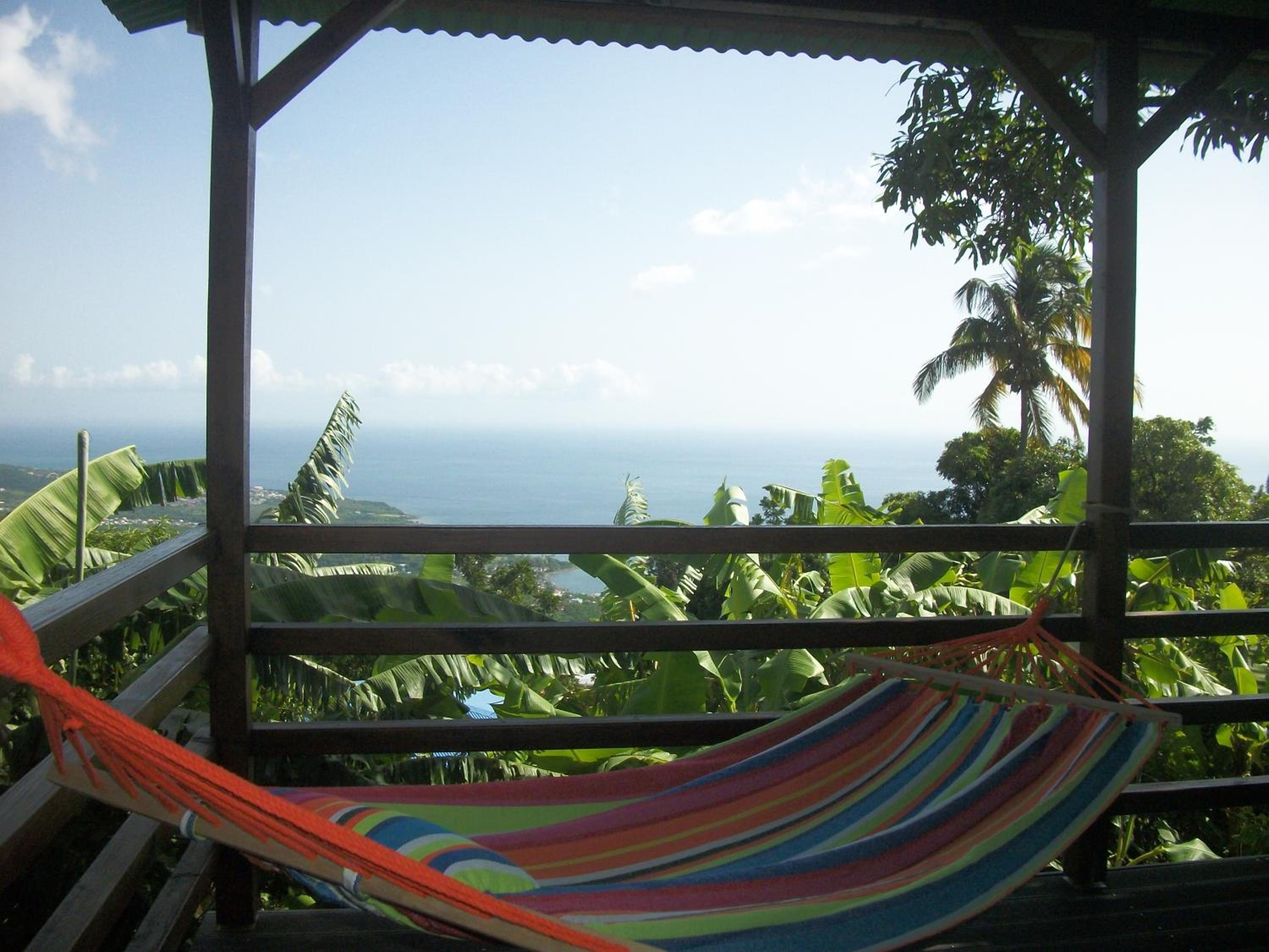mango tree lodge