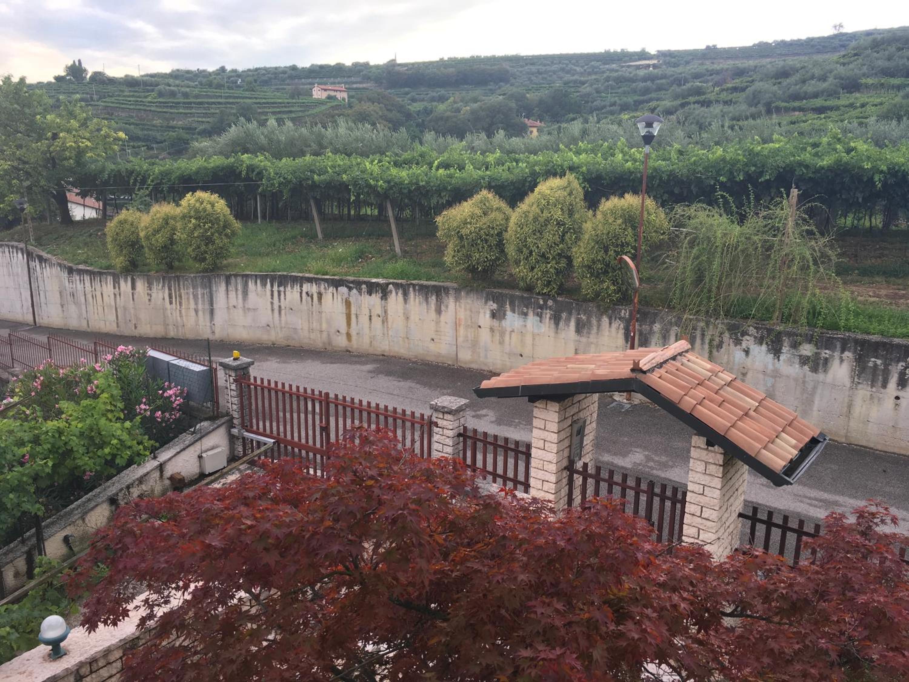 Appartamento Novella