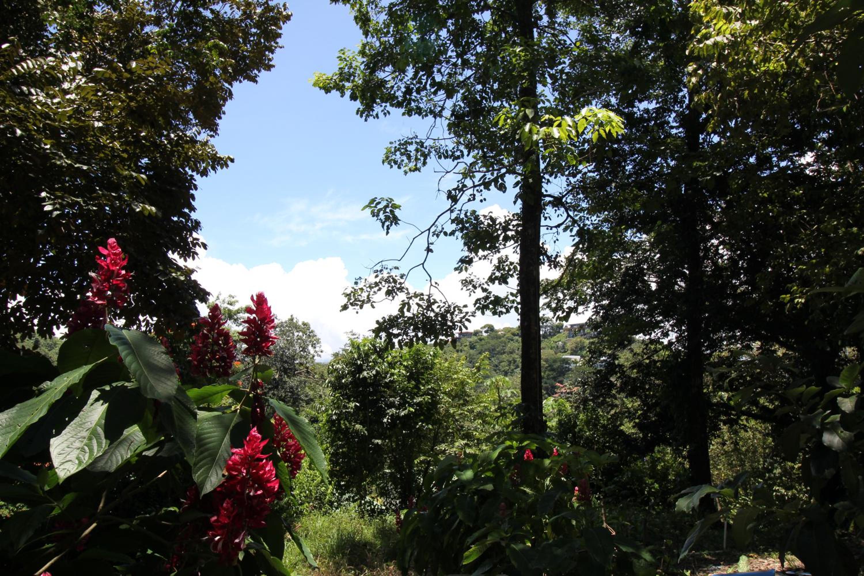 Teva Hotel & Jungle Reserve