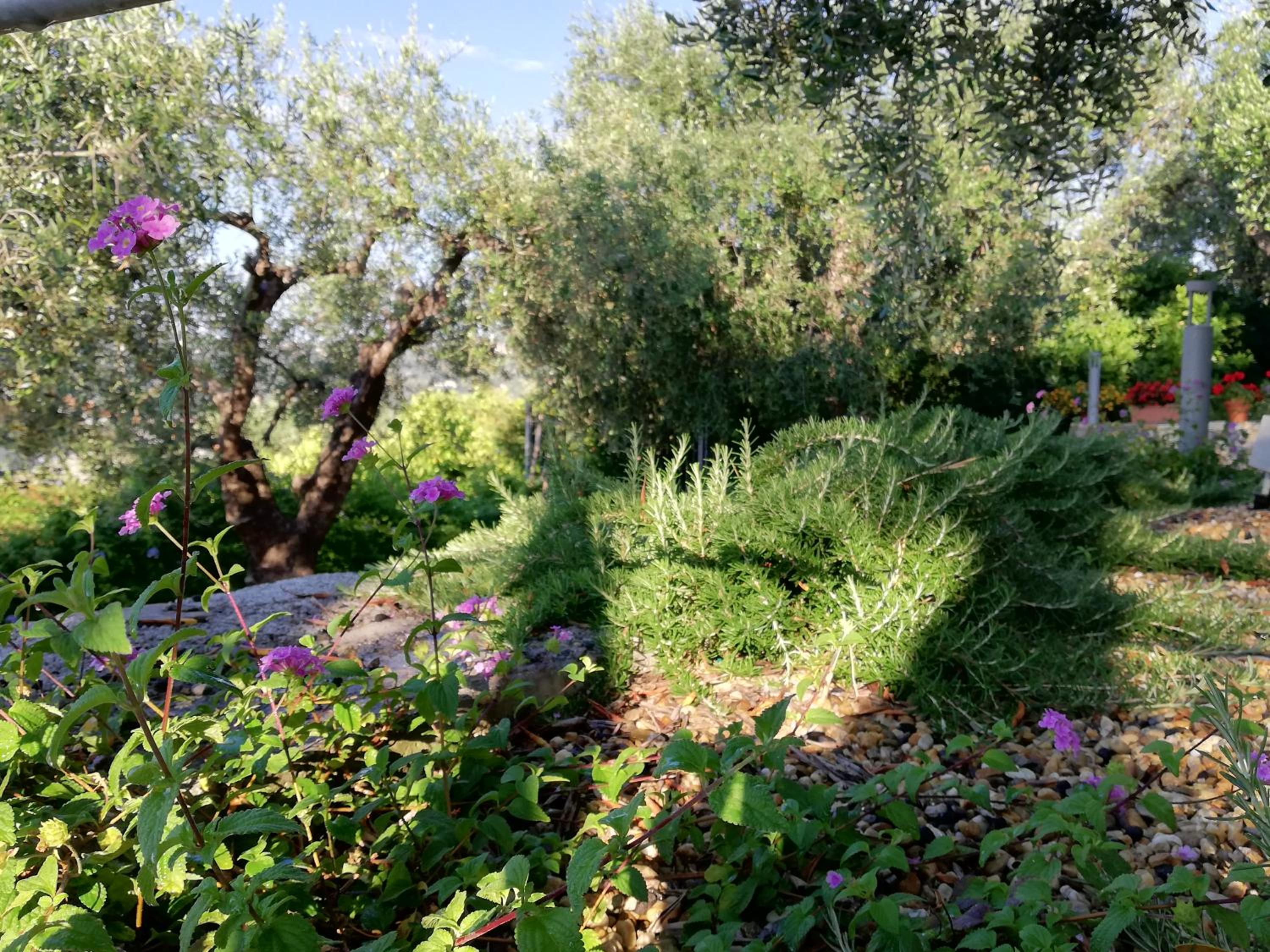 Sugli Allori view 3