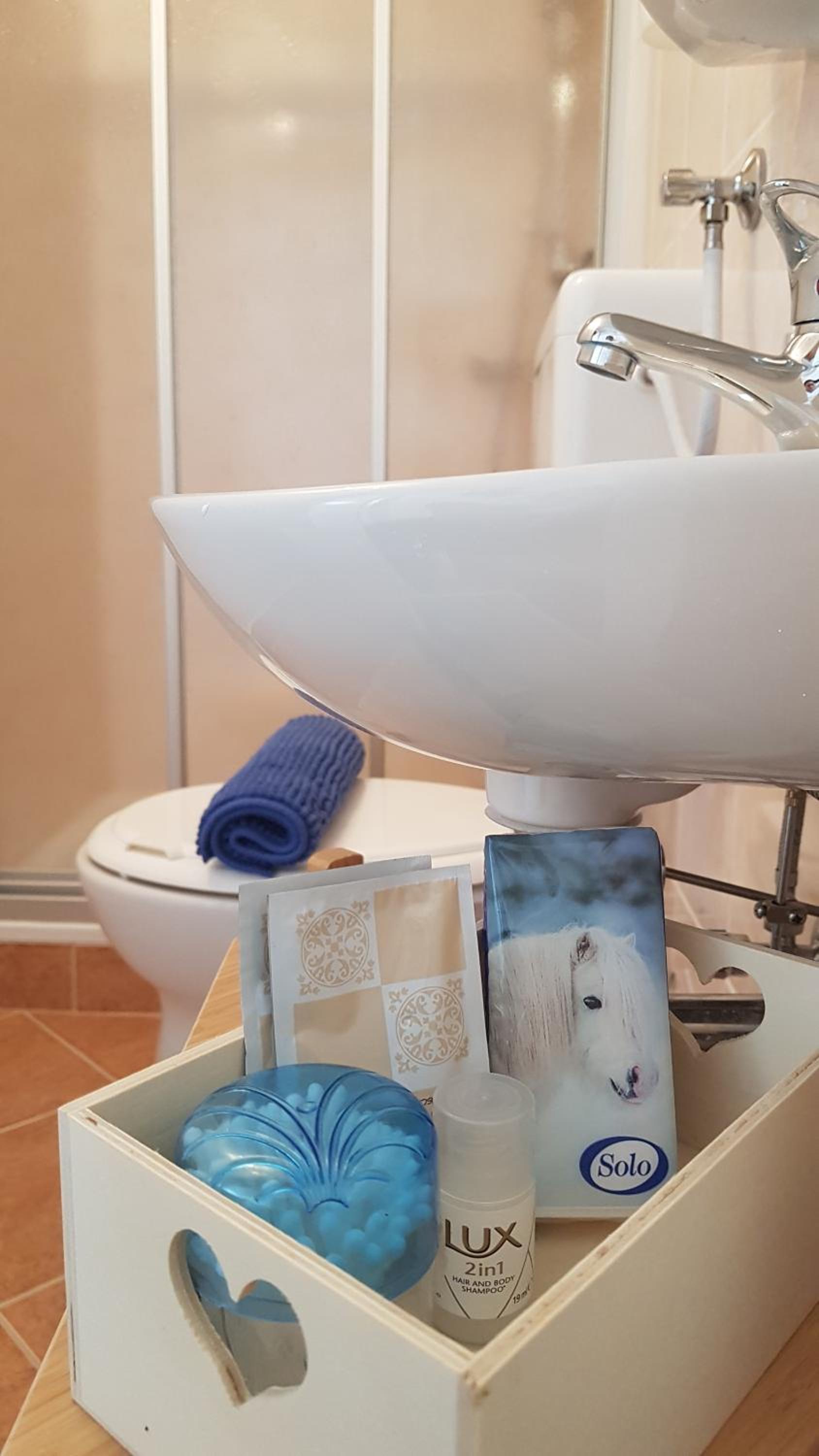 Ferienwohnung Apres Ski