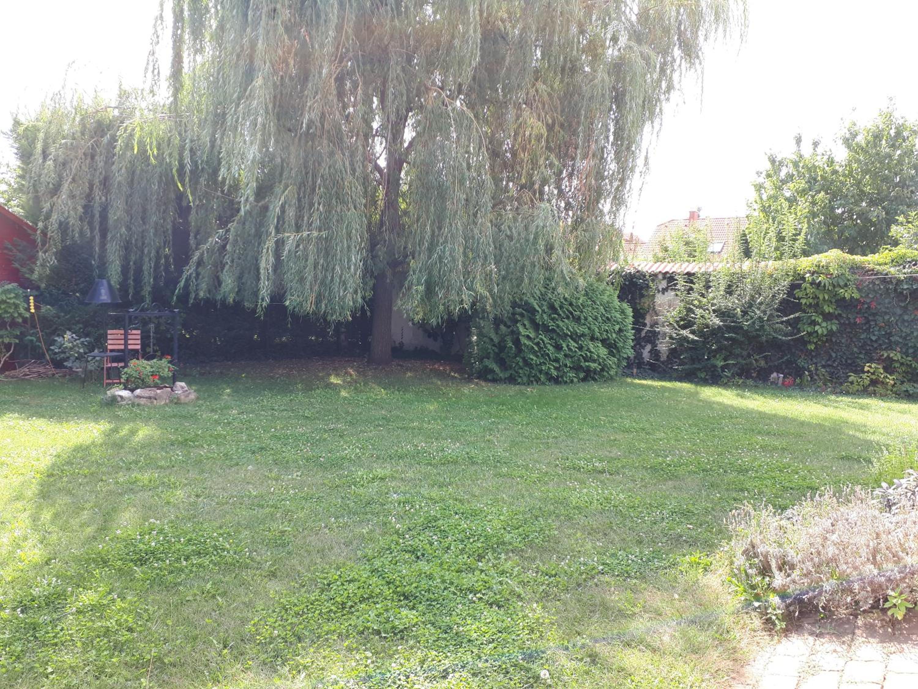 Photo 39