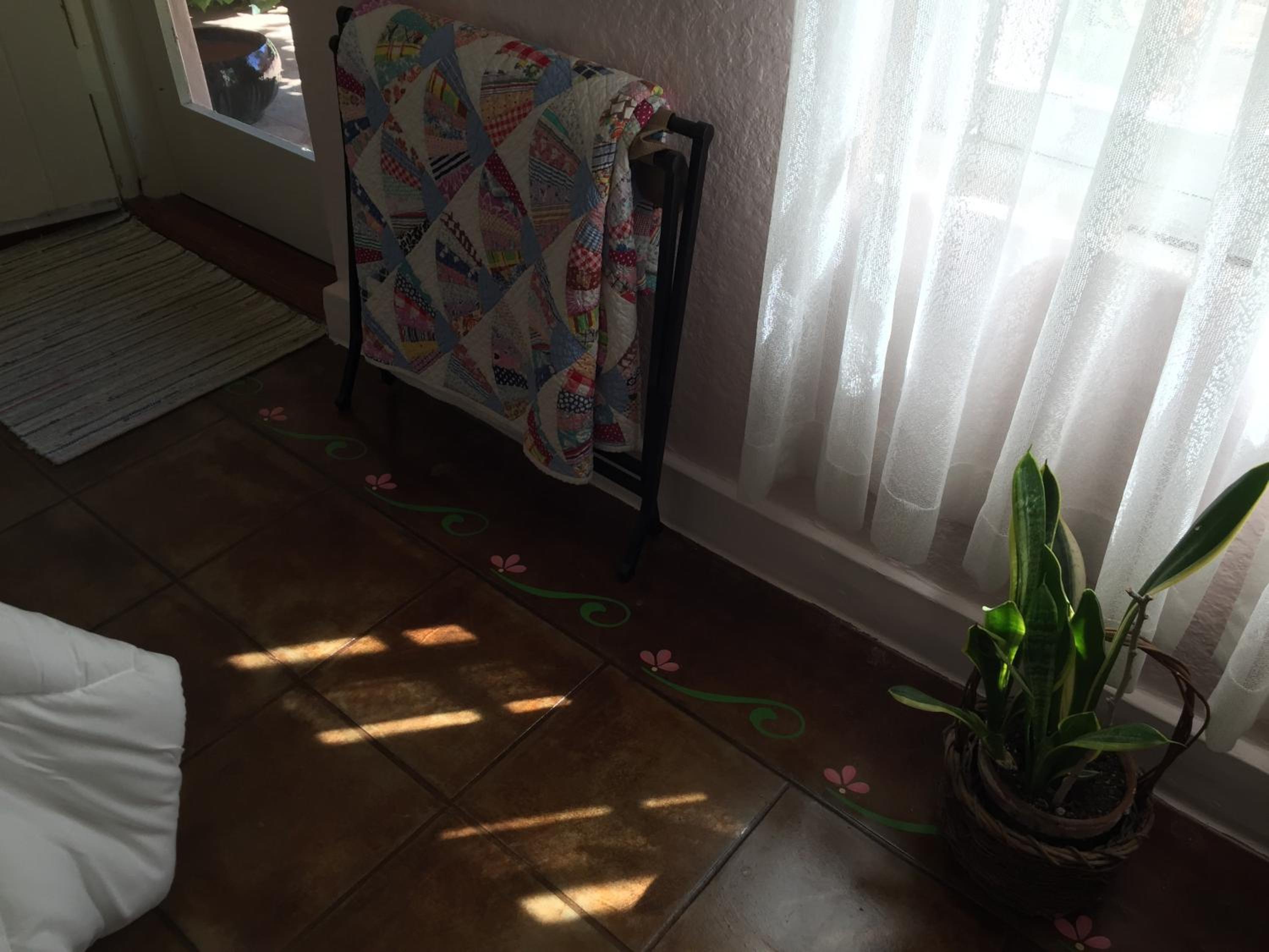 Photo 42
